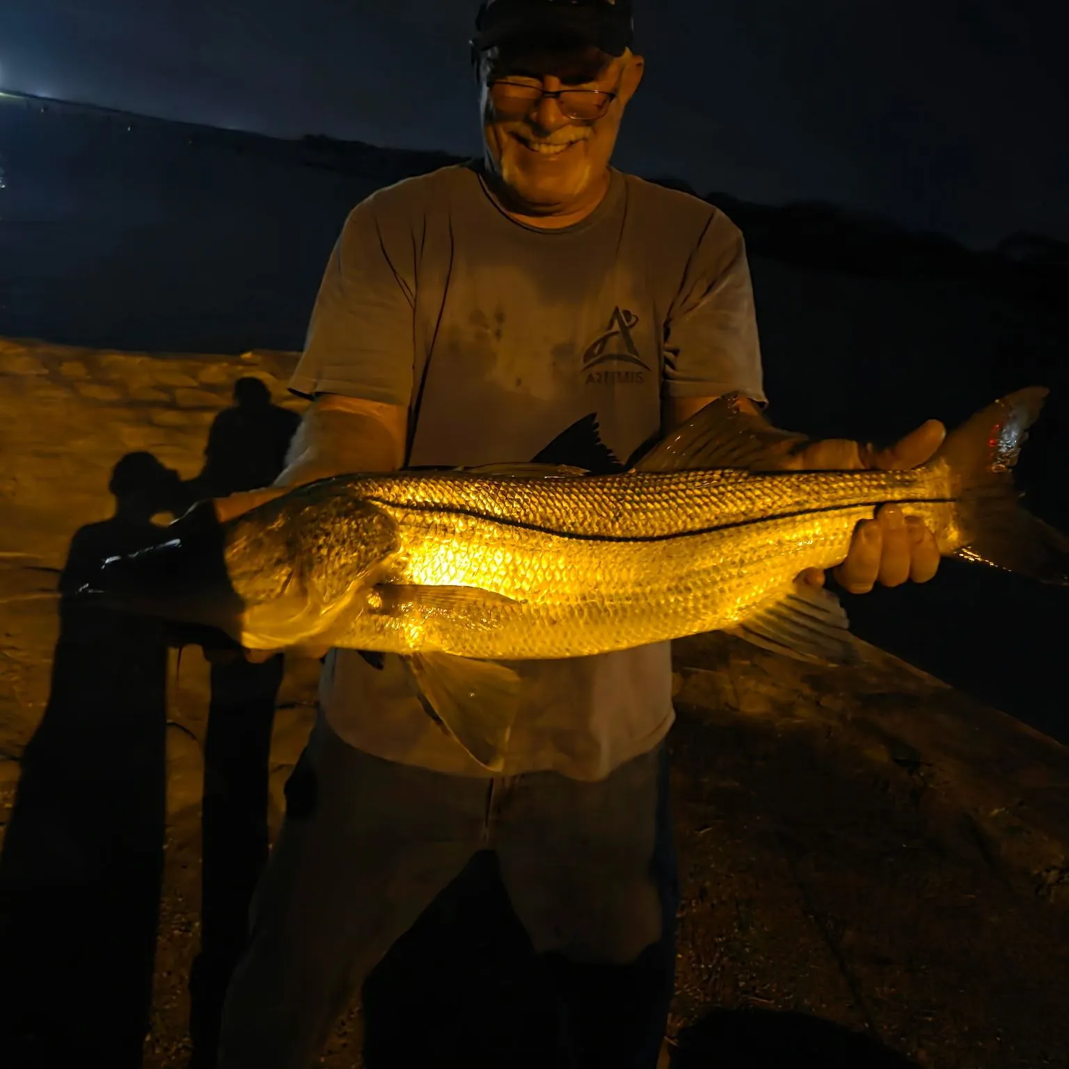 Common snook caught on Fishbrain