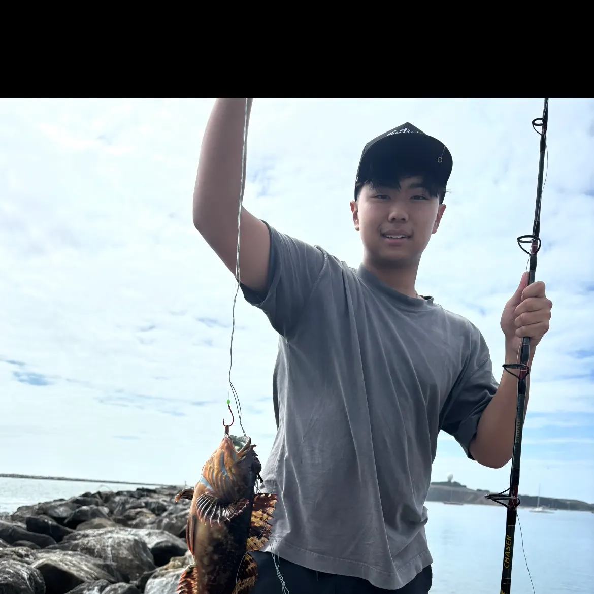 The most recent Cabezon catches on Fishbrain
