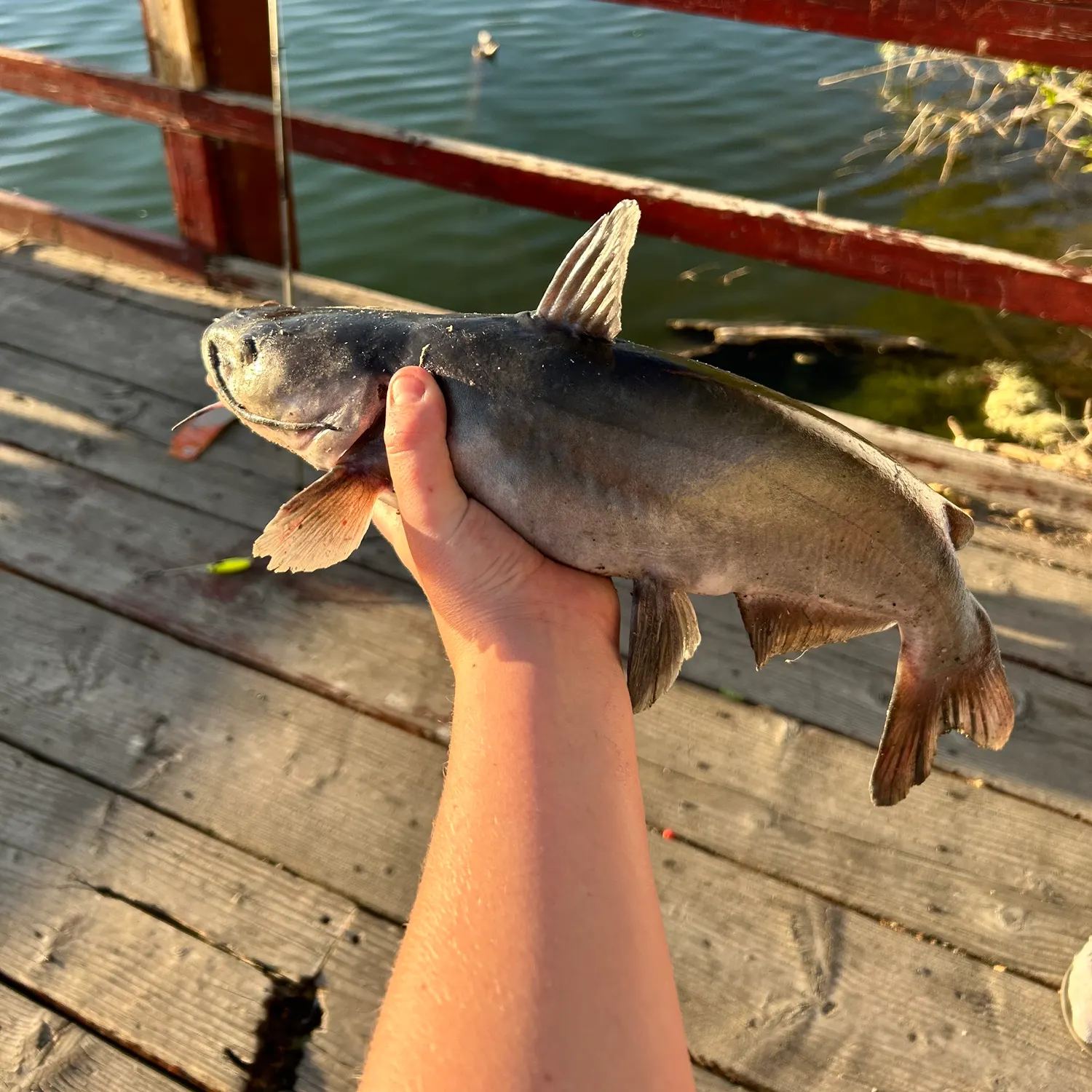 catch