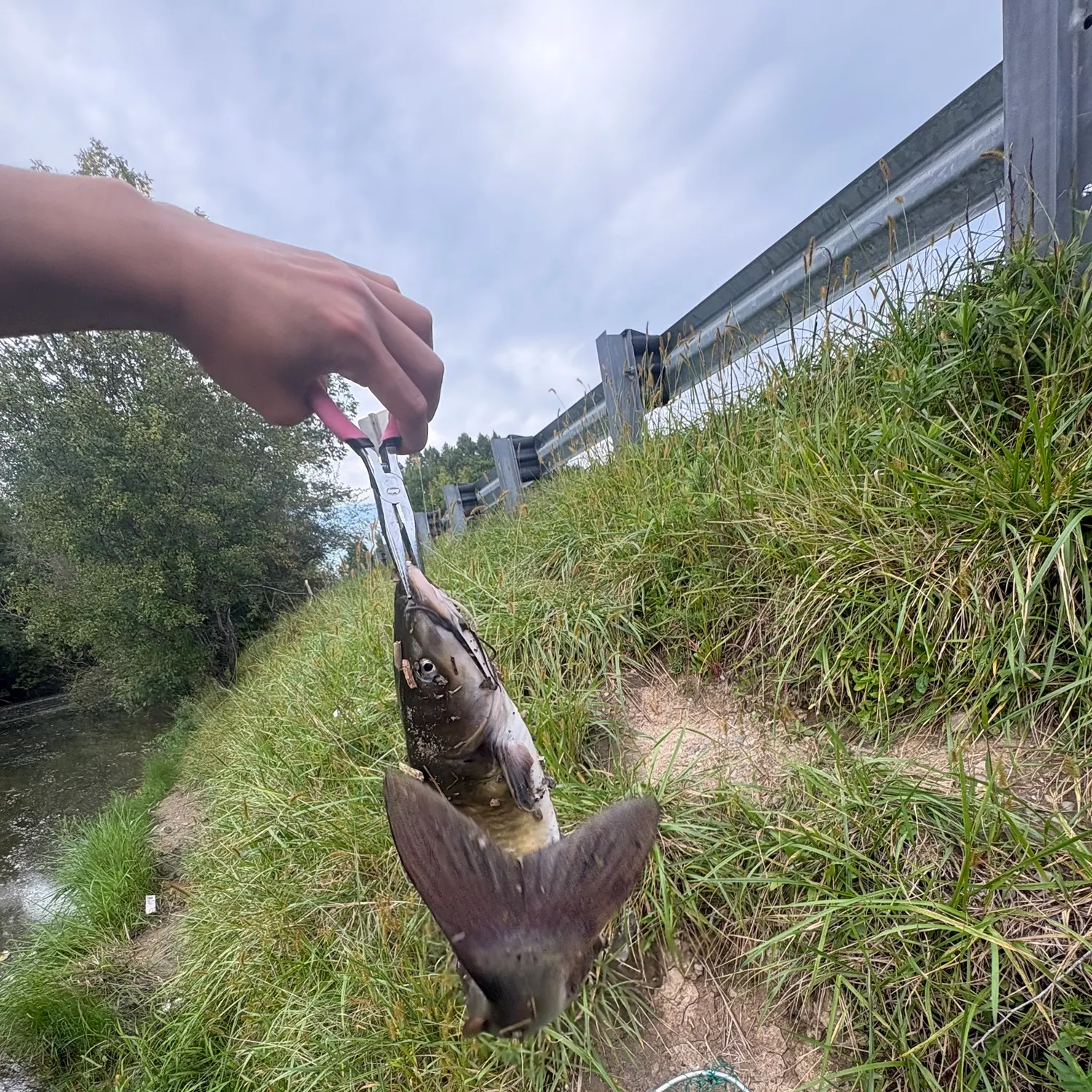 catch