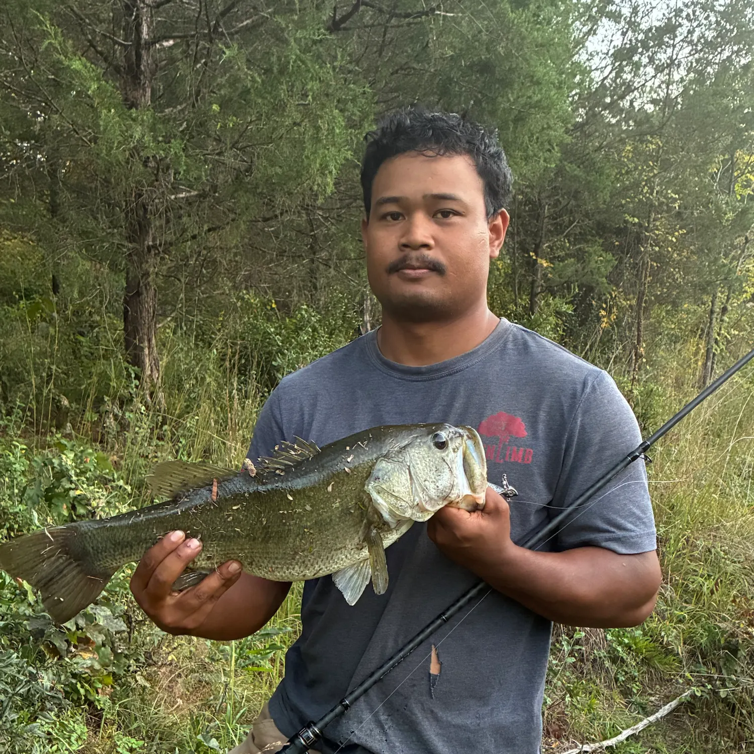 Largemouth bass caught on Fishbrain