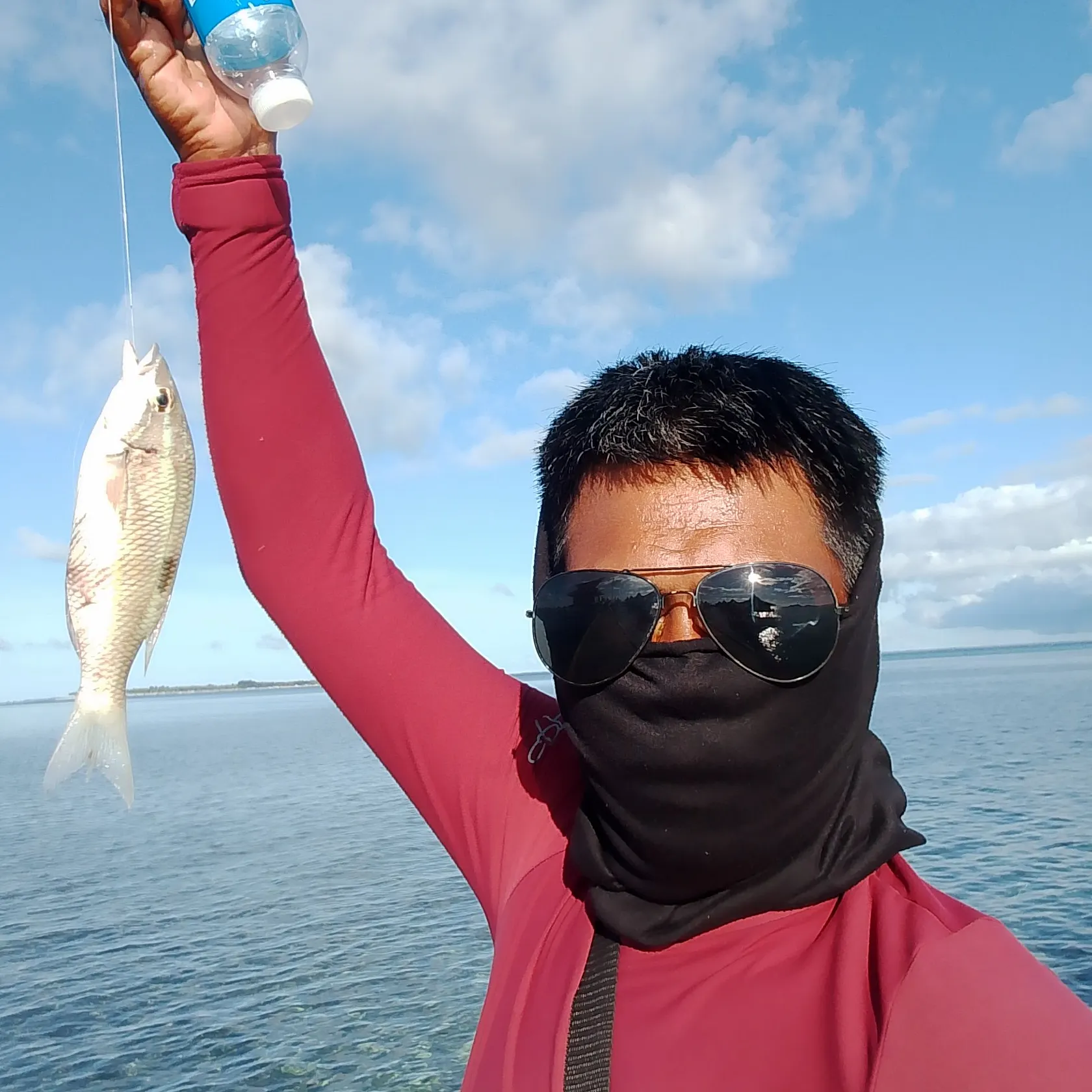 The most recent Spanish flag snapper catches on Fishbrain
