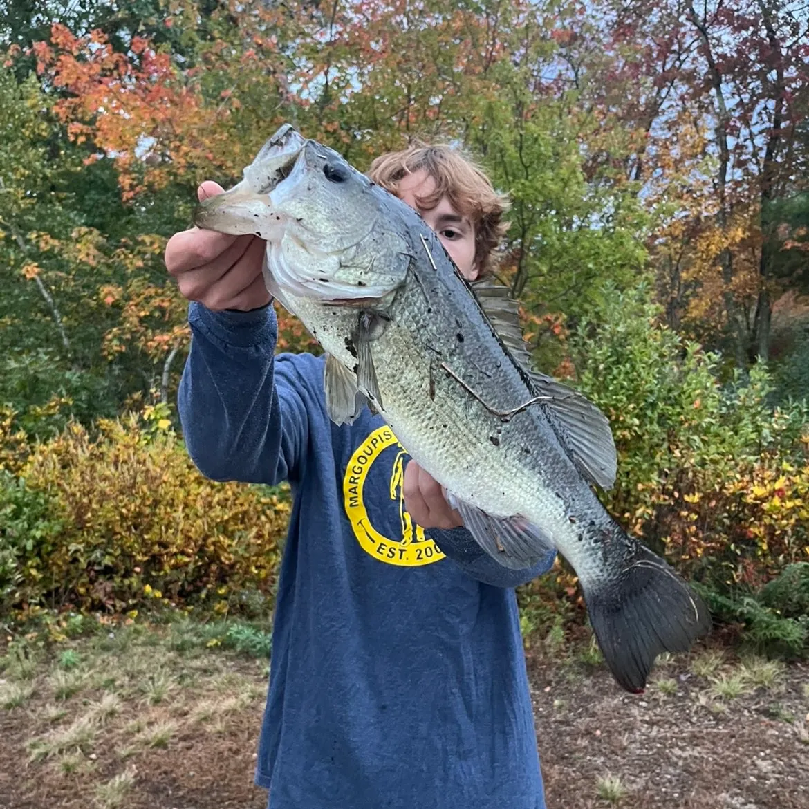 Largemouth bass caught on Fishbrain