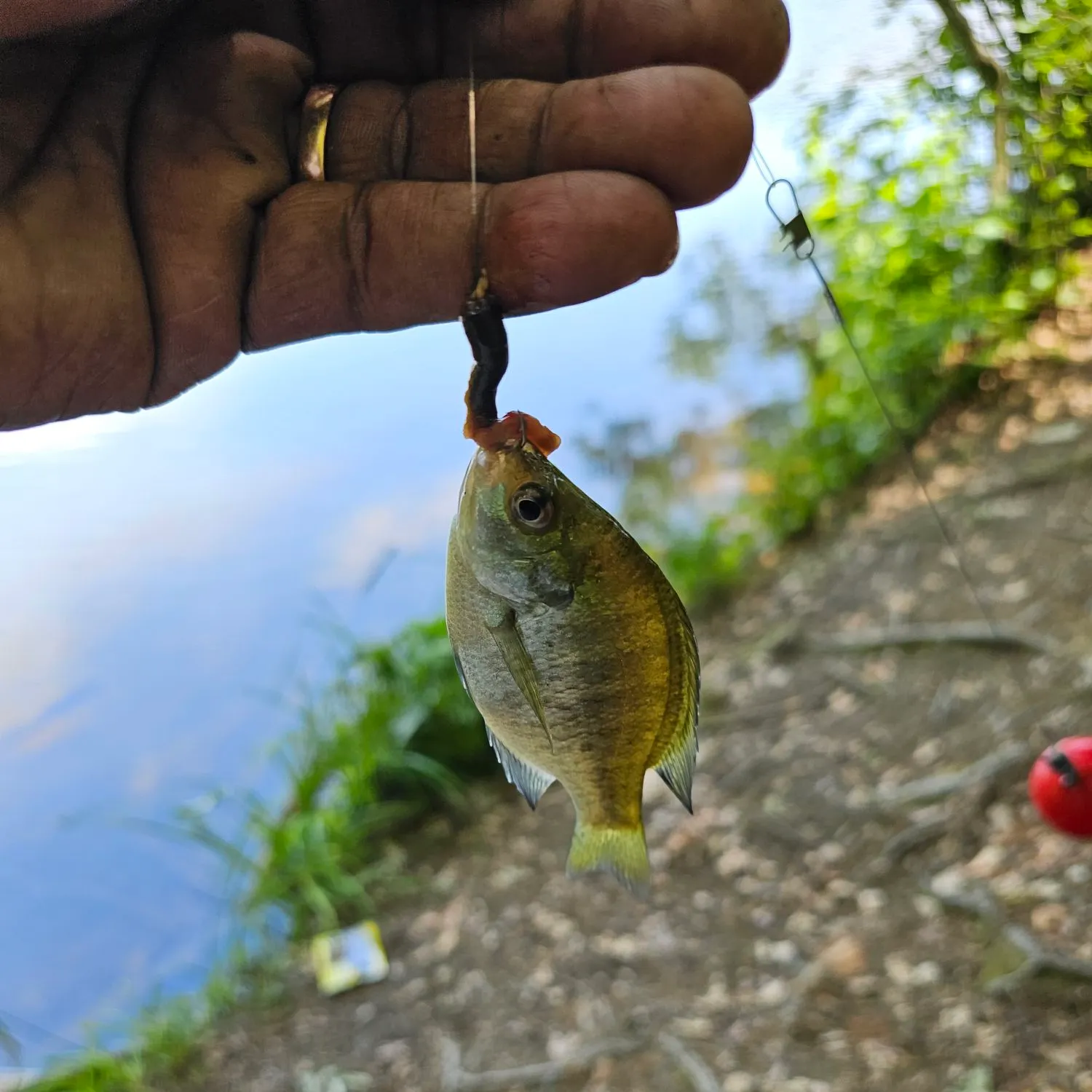 catch