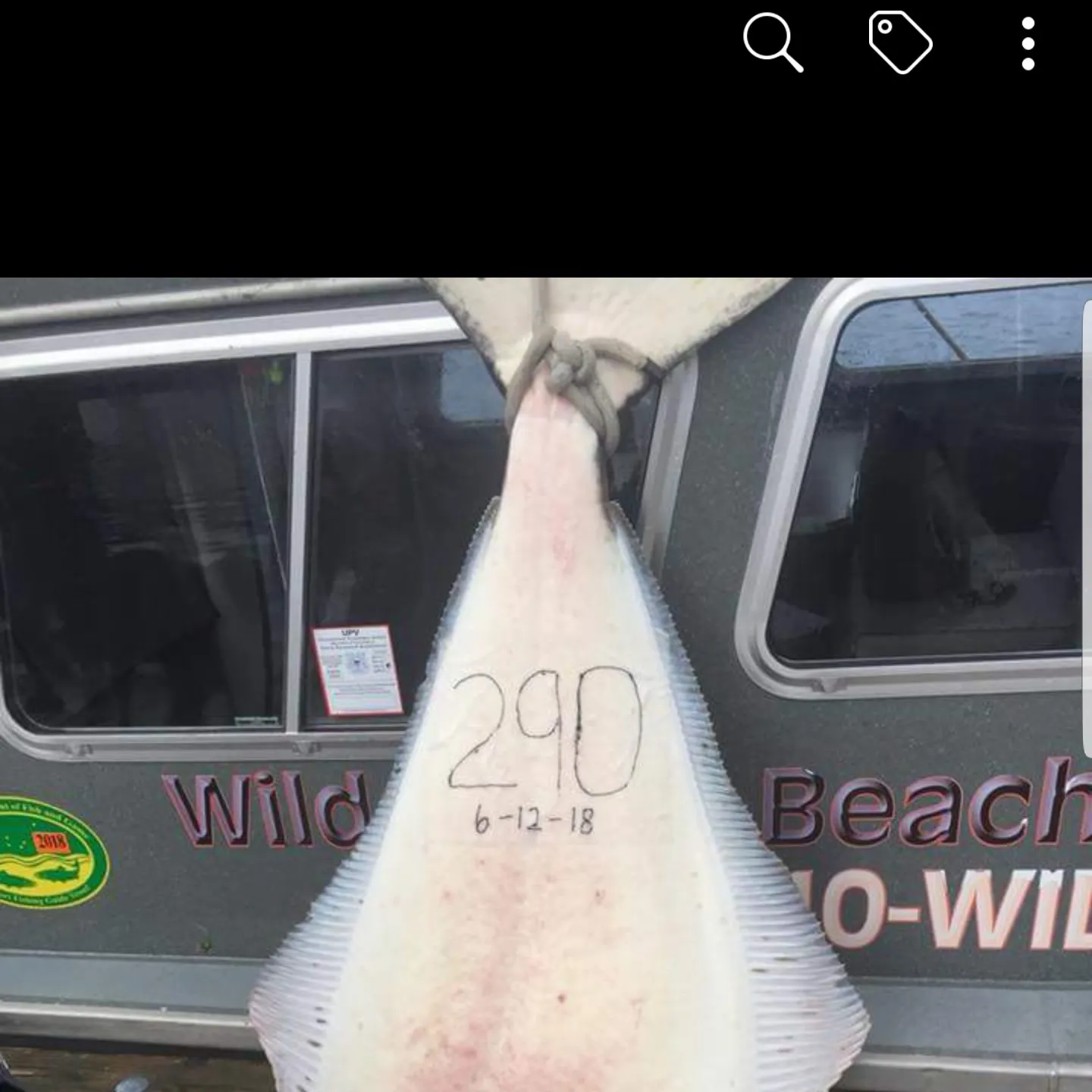 recently logged catches