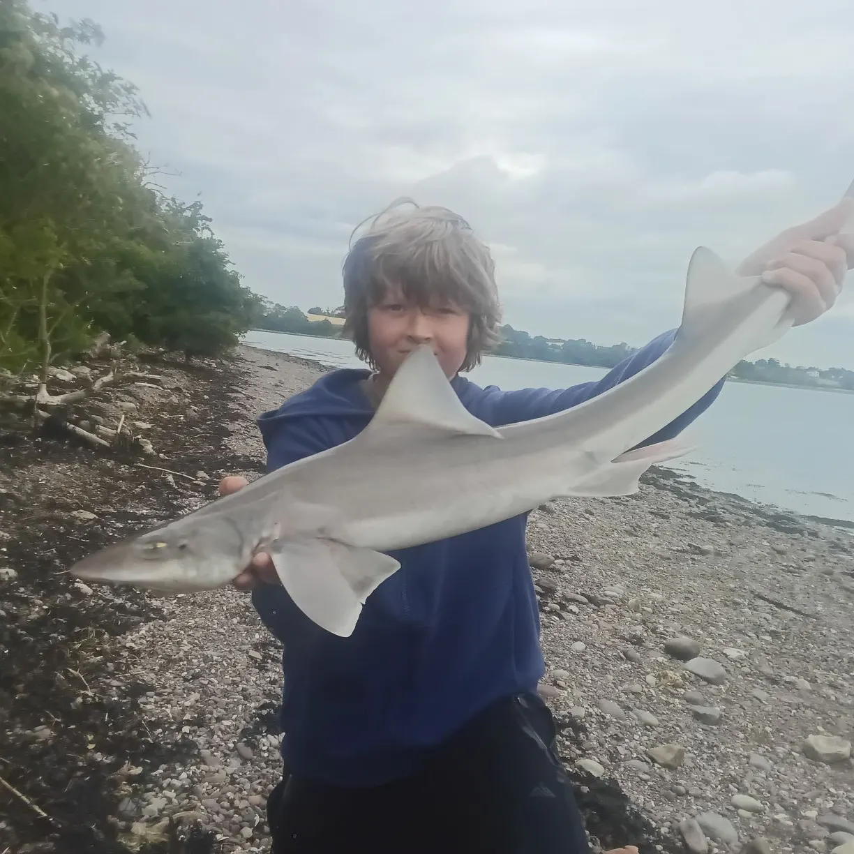 The most recent Common smooth-hound catches on Fishbrain