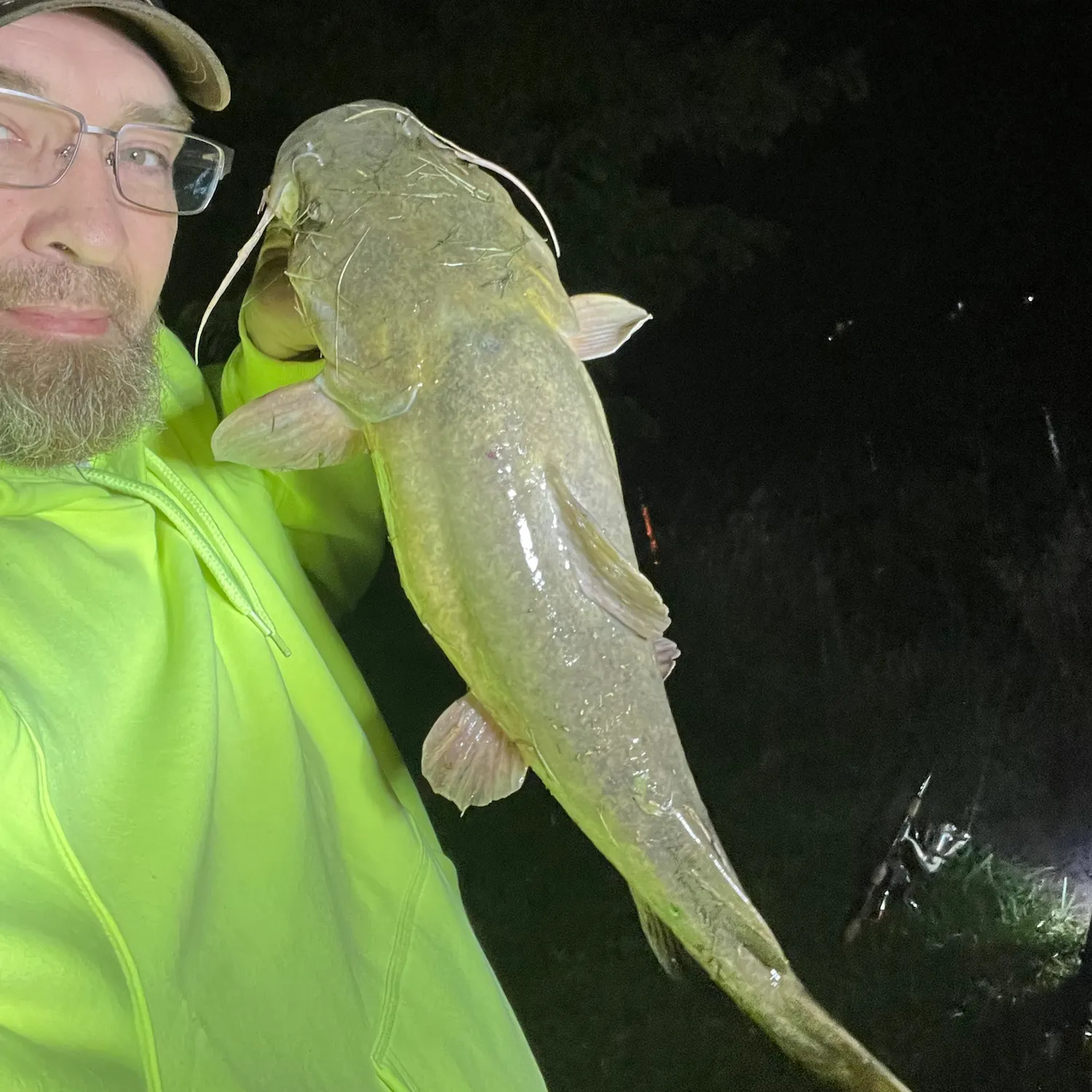 Flathead catfish caught on Fishbrain