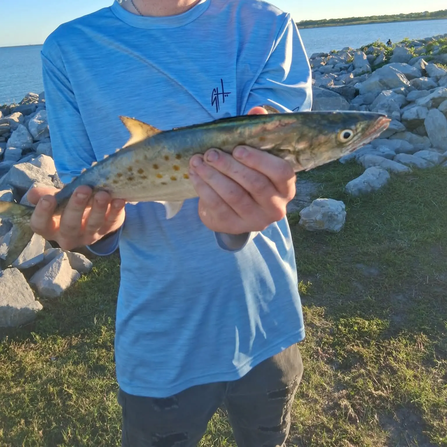 Spanish mackerel caught on Fishbrain