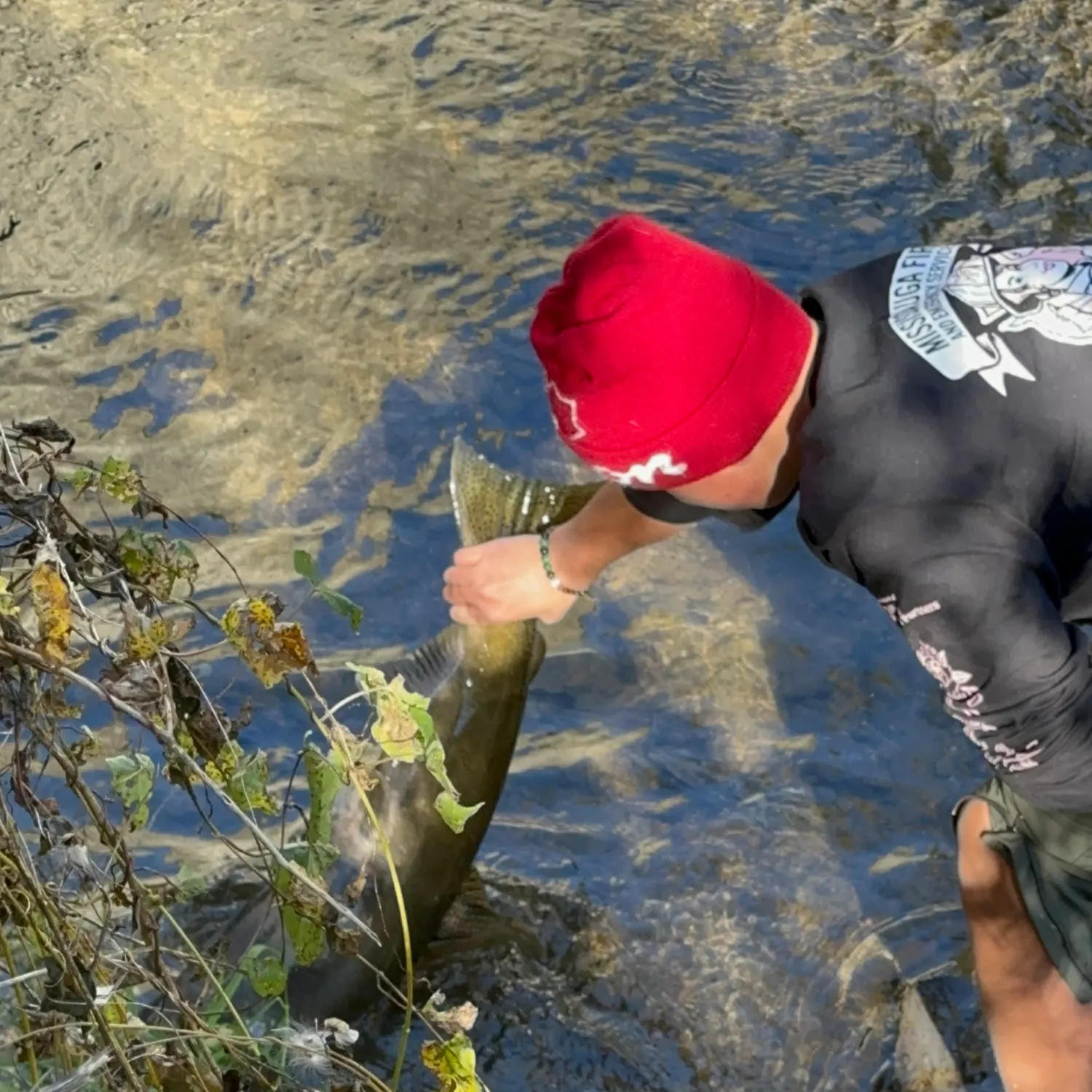 Chinook salmon caught on Fishbrain