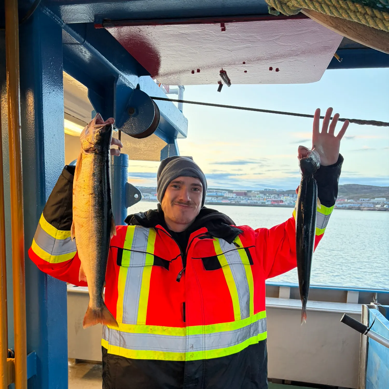 The most recent Arctic char catches on Fishbrain