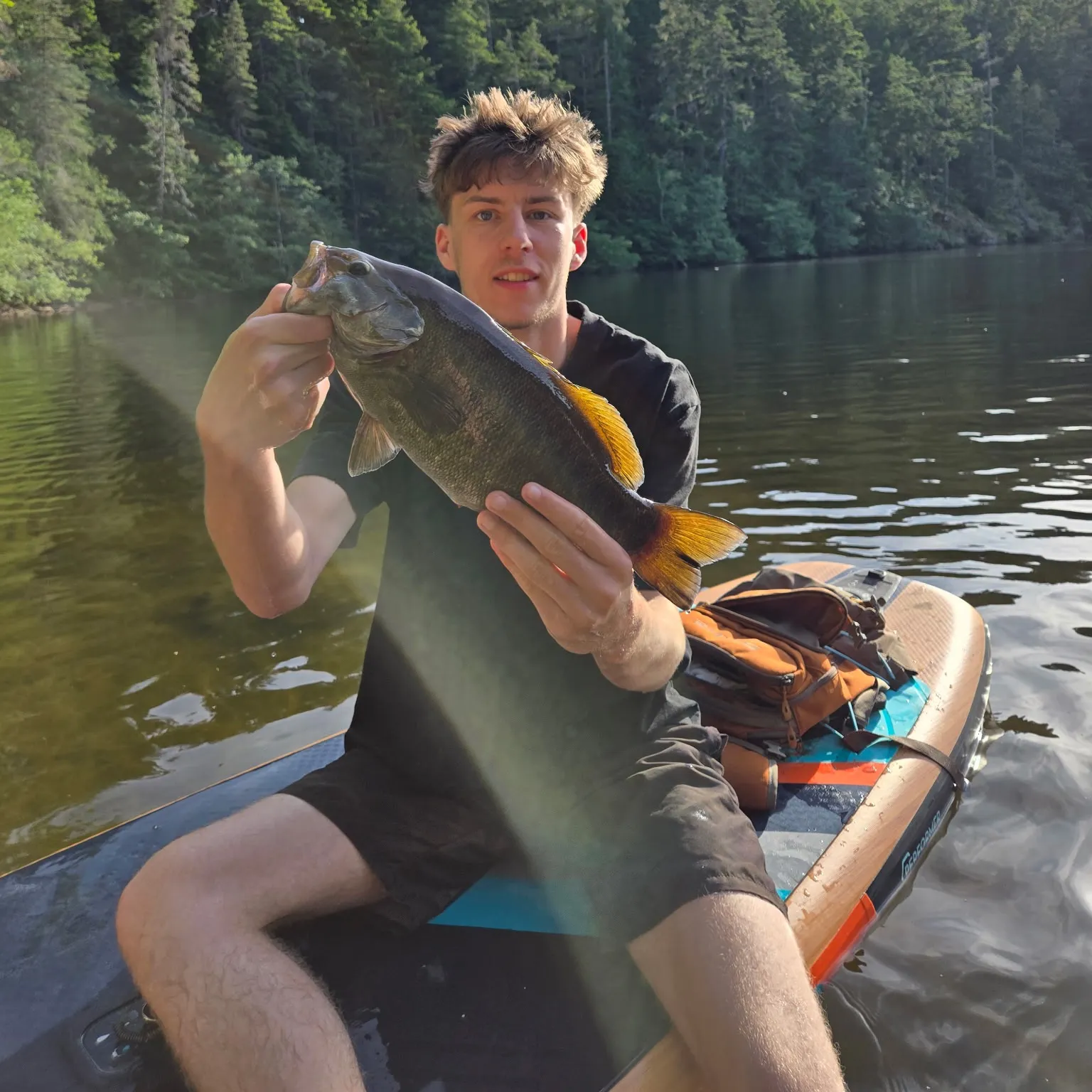 The most recent Smallmouth bass catches on Fishbrain