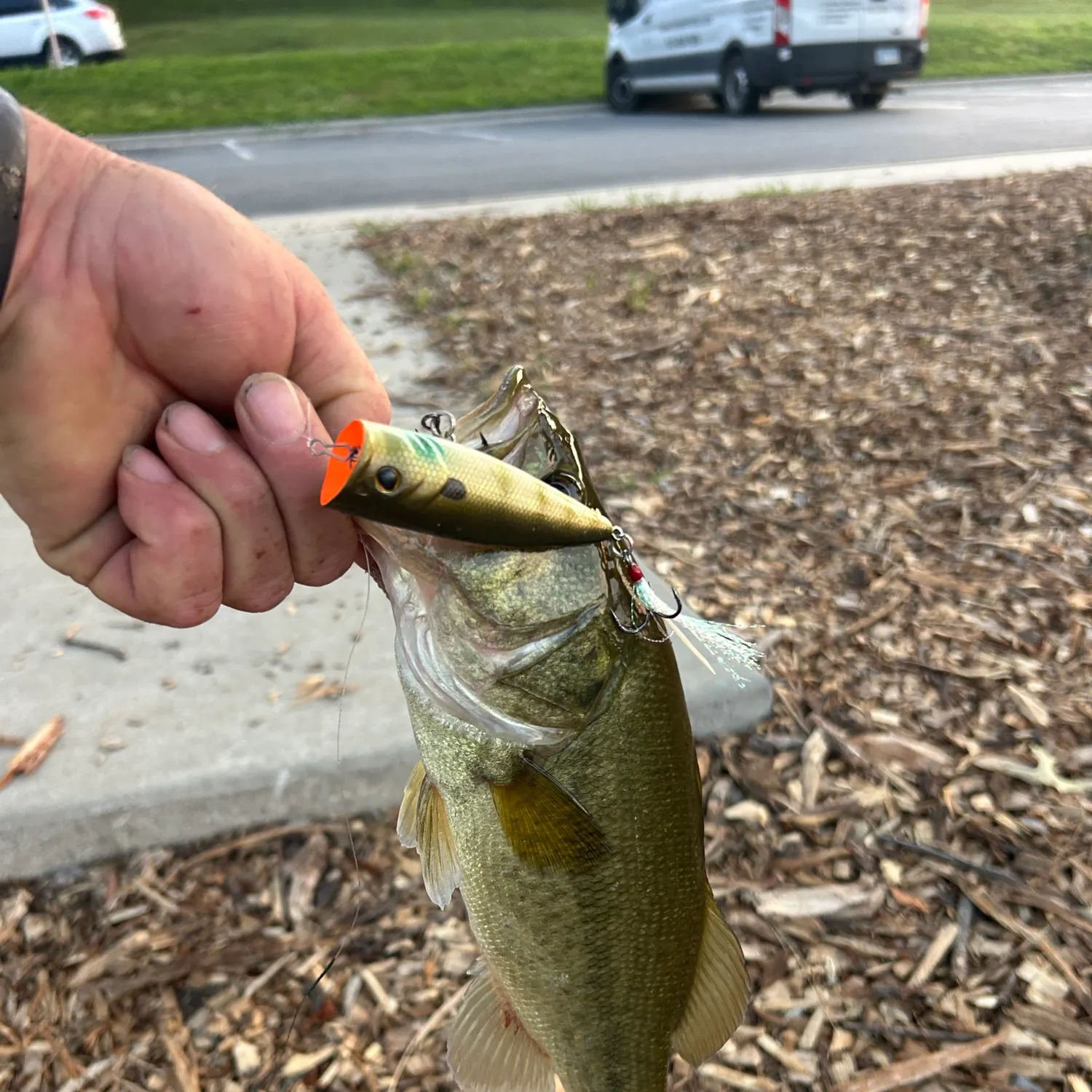 catch