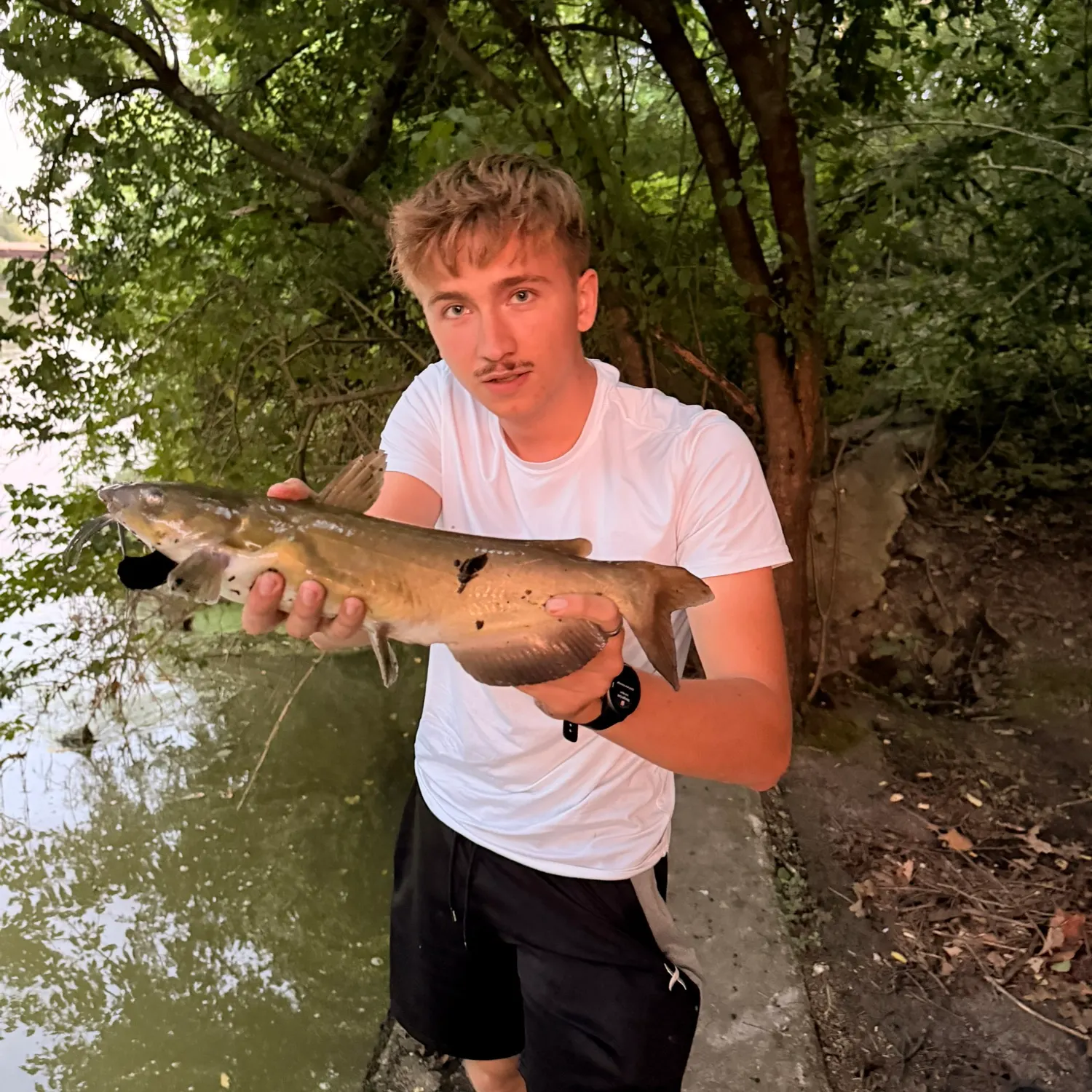 Channel catfish caught on Fishbrain