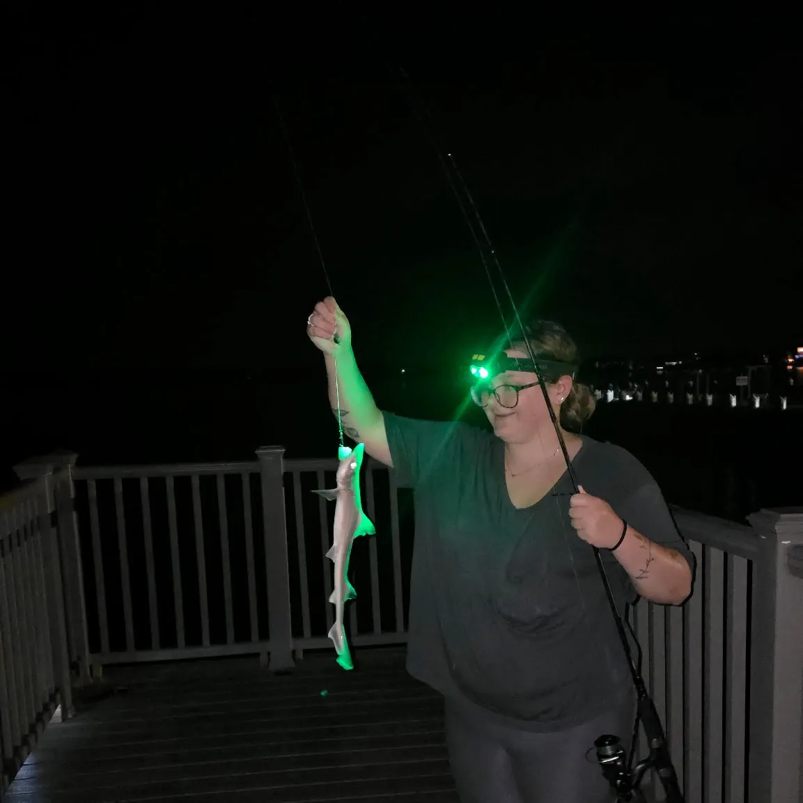 The most recent Bluntnose sixgill shark catches on Fishbrain