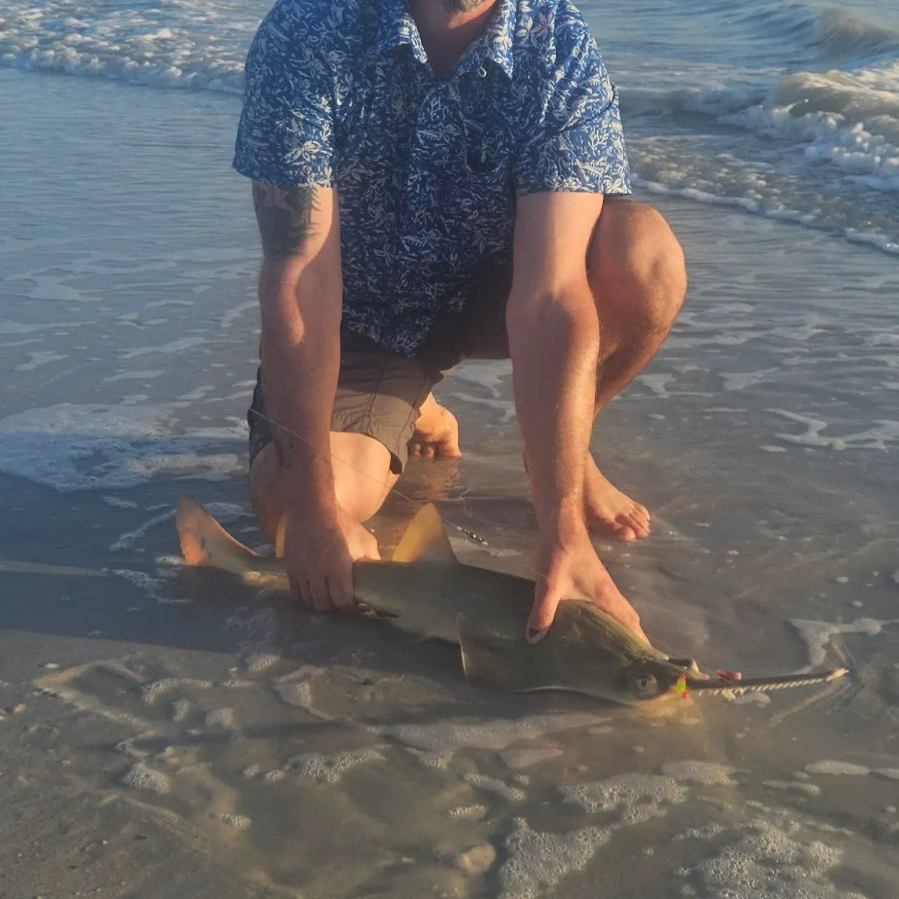 The most recent Smalltooth sawfish catches on Fishbrain