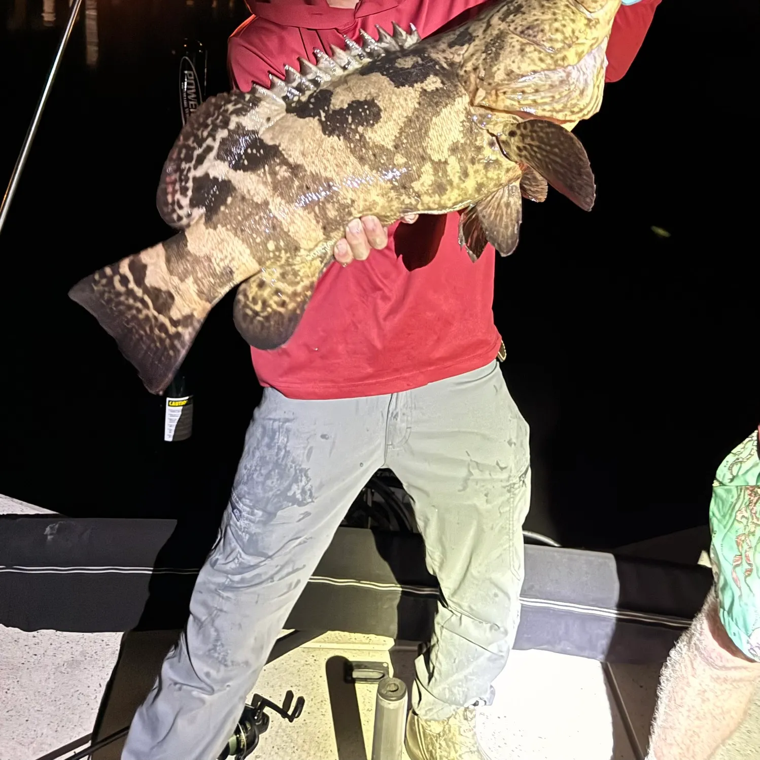 The most recent Pacific goliath grouper catches on Fishbrain