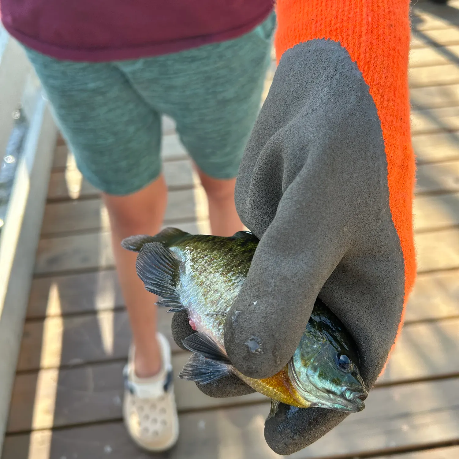 catch