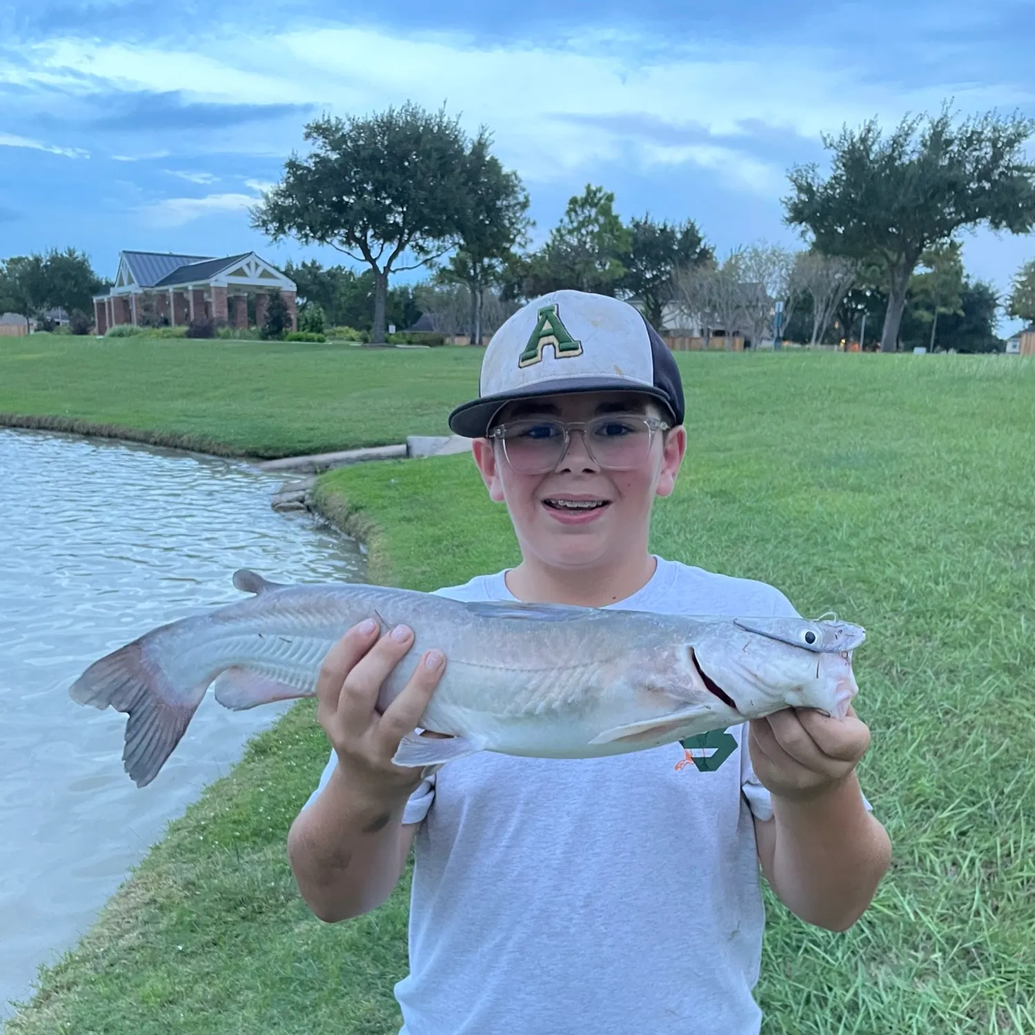 Blue catfish caught on Fishbrain