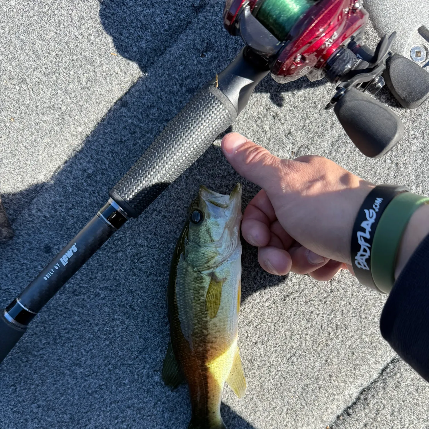 recently logged catches