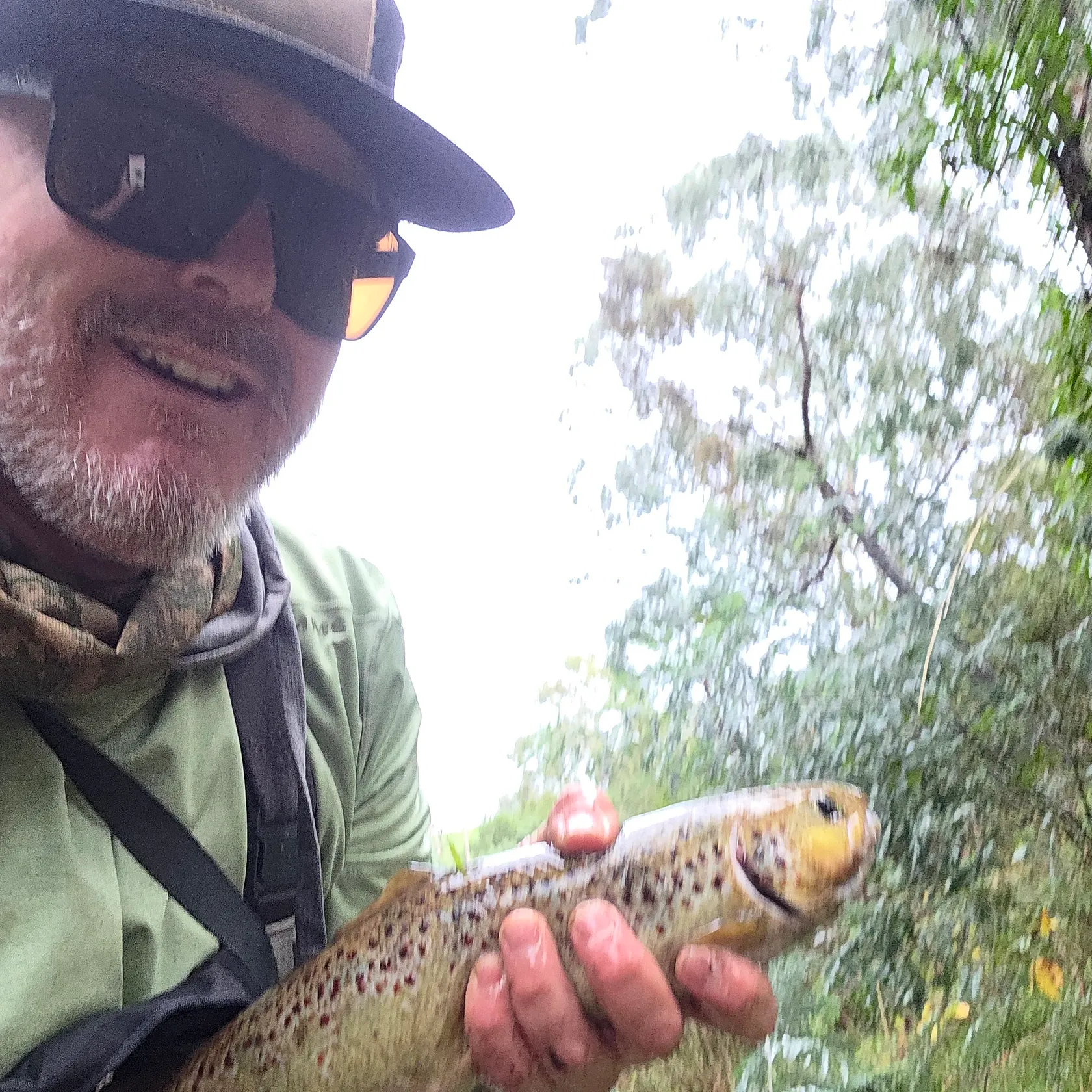 Brown trout caught on Fishbrain