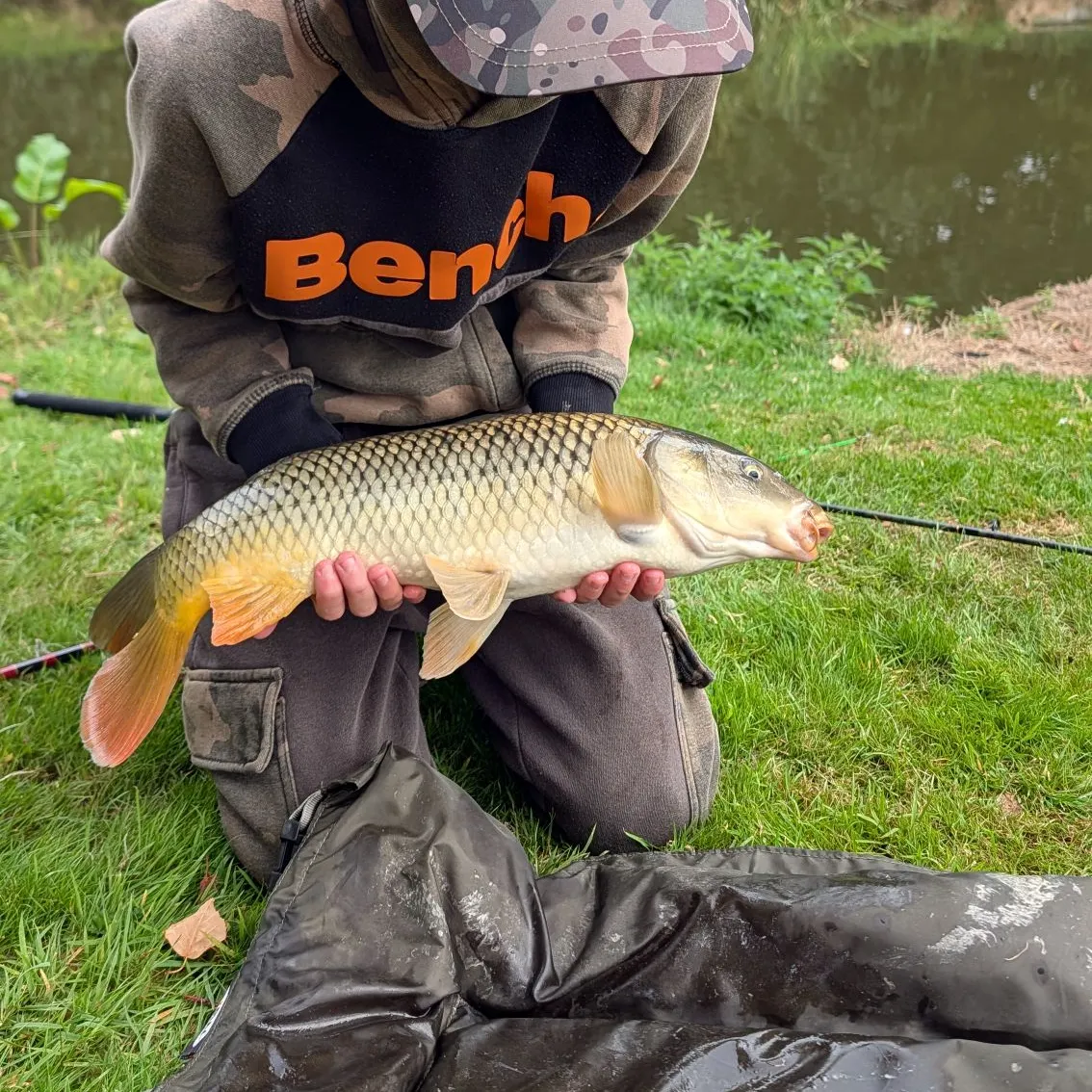 Common carp caught on Fishbrain