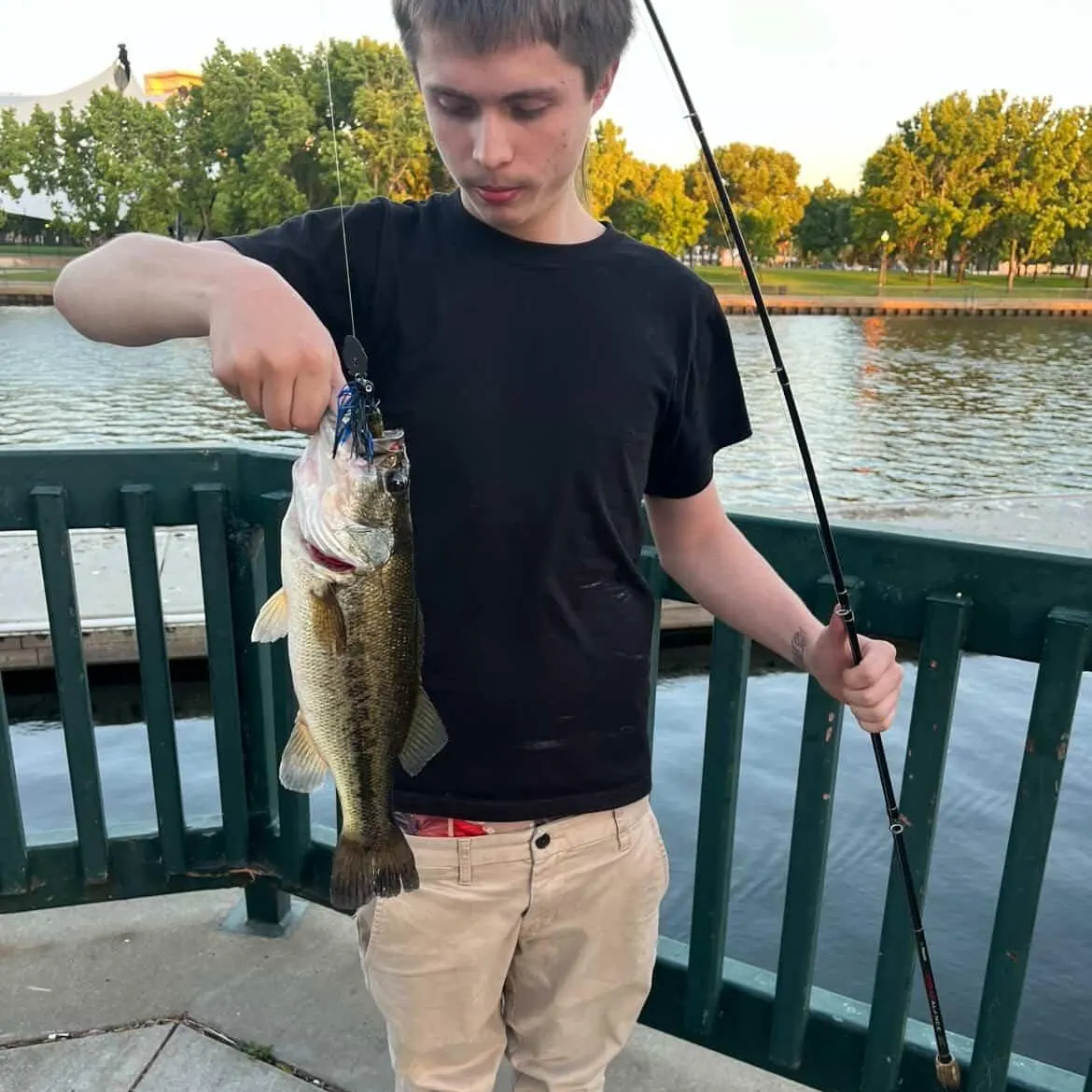 Largemouth bass caught on Fishbrain