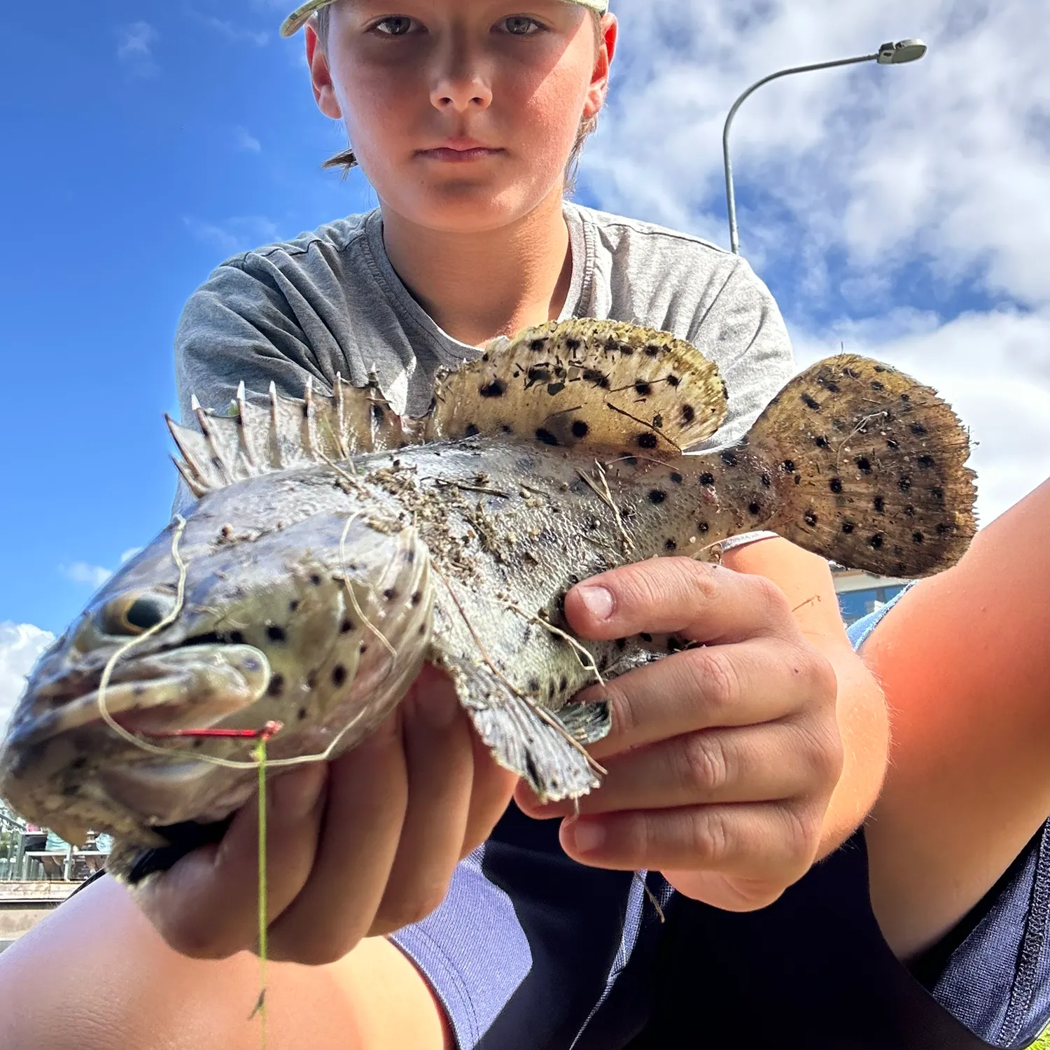 The most recent Coral grouper catches on Fishbrain
