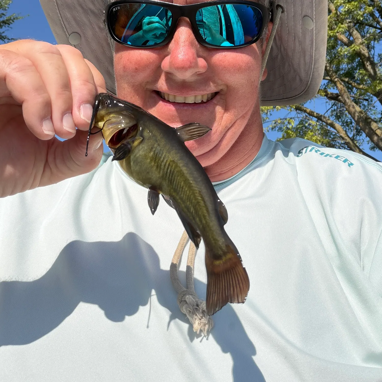 Black bullhead caught on Fishbrain