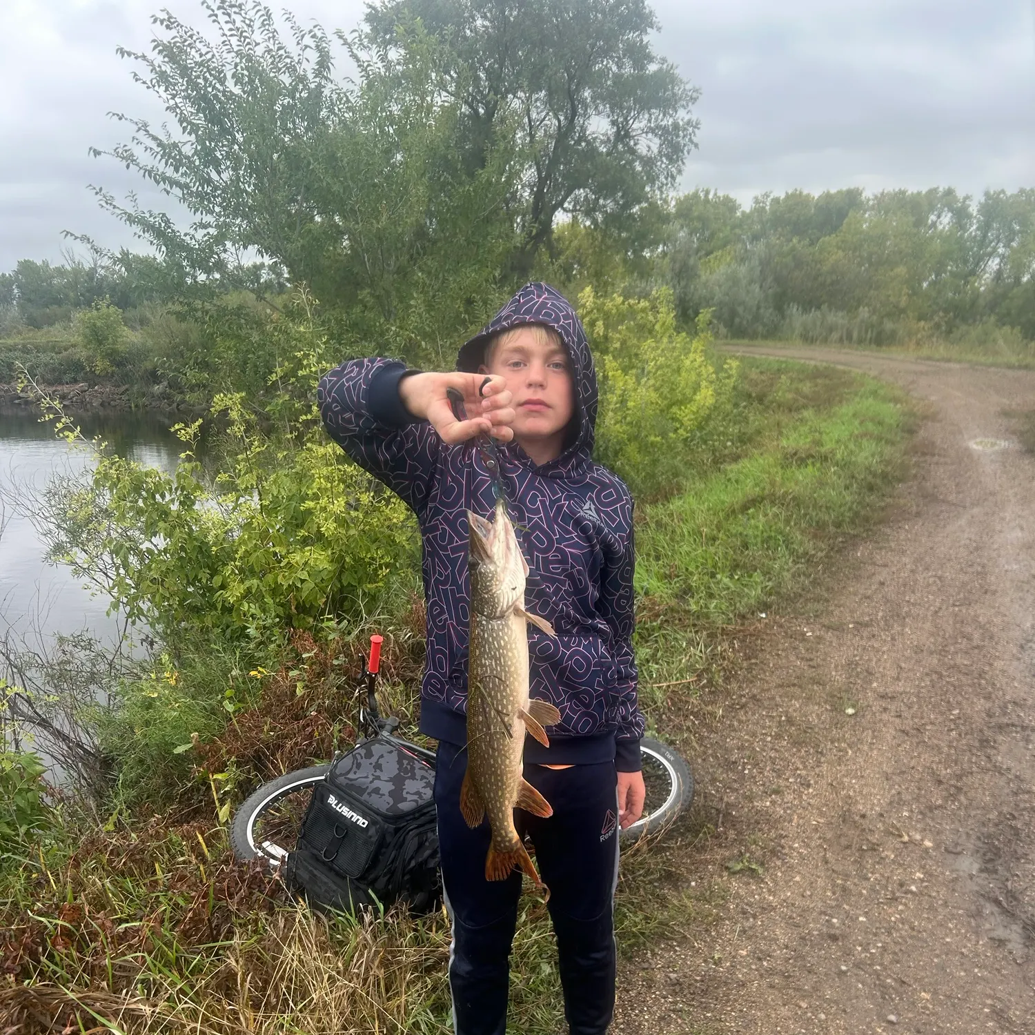 Northern pike caught on Fishbrain