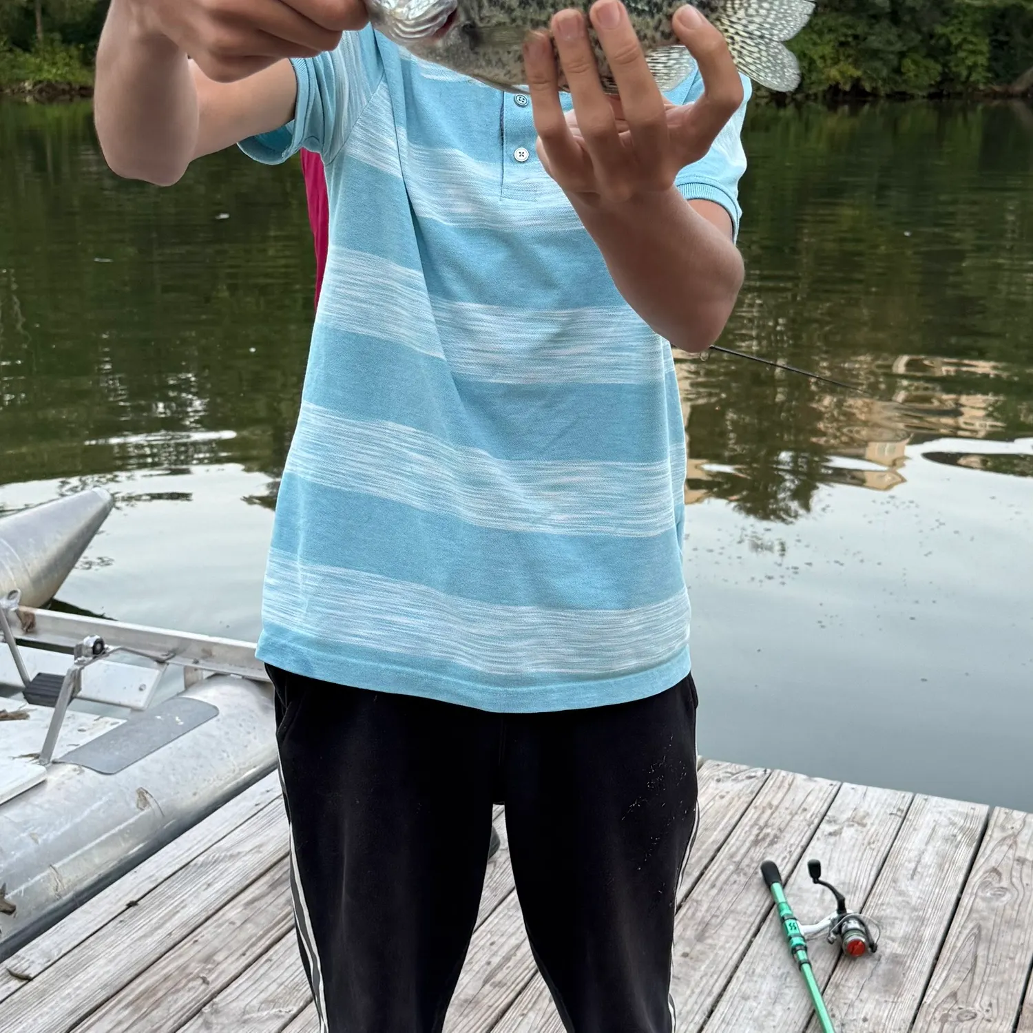 Black crappie caught on Fishbrain