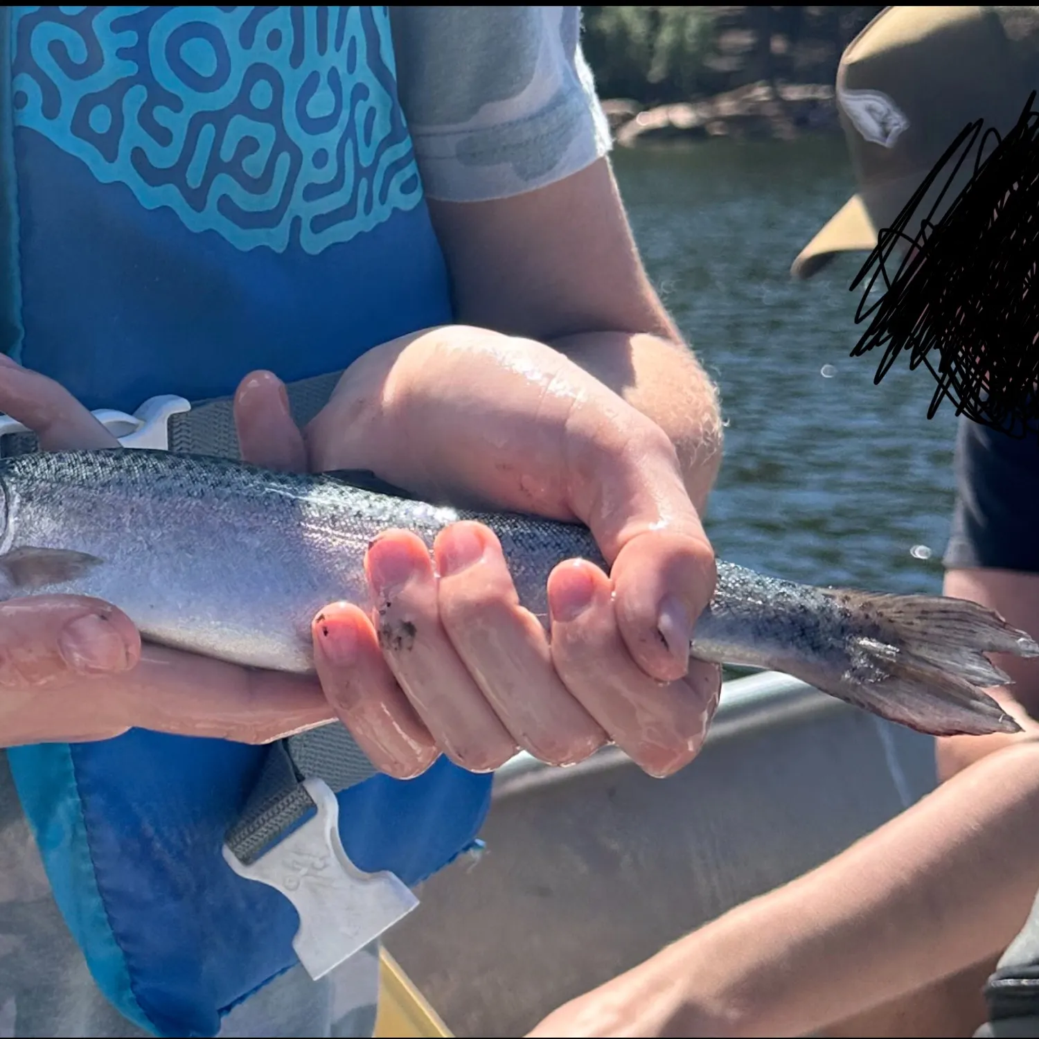 Rainbow trout caught on Fishbrain