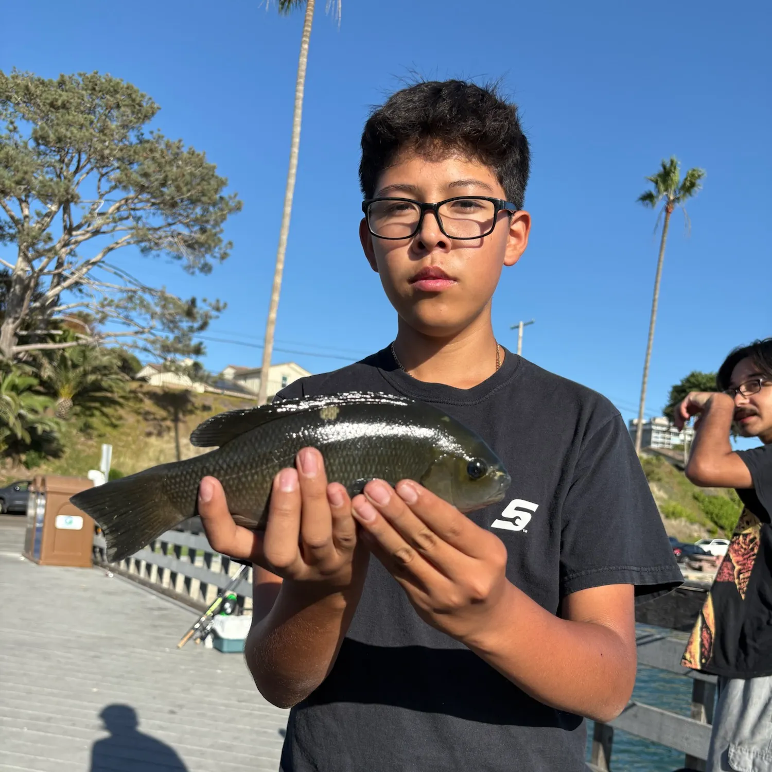 Opaleye caught on Fishbrain