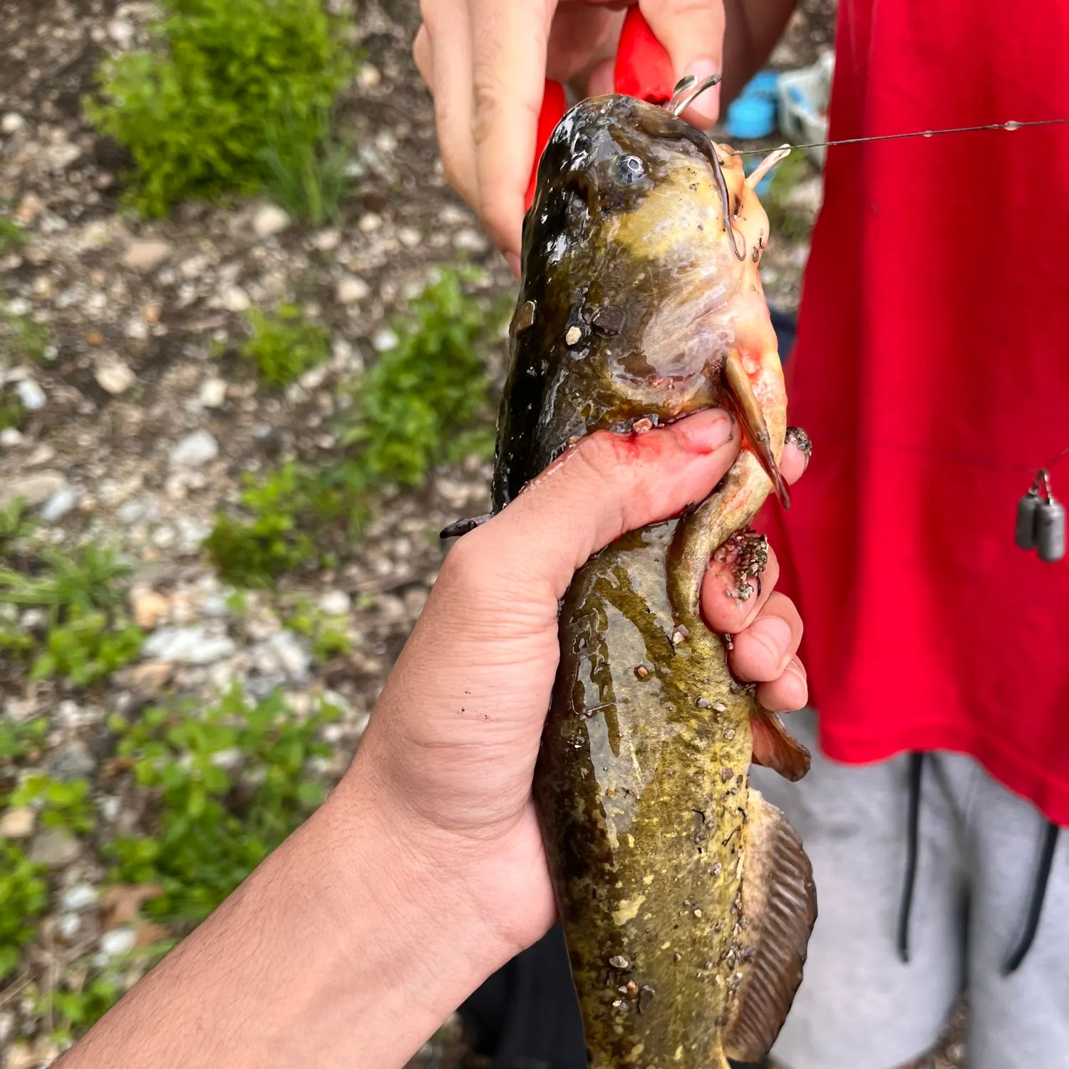 catch