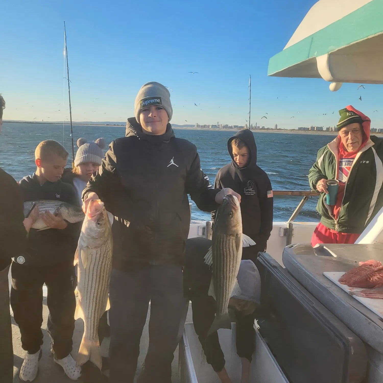 Striped bass caught on Fishbrain