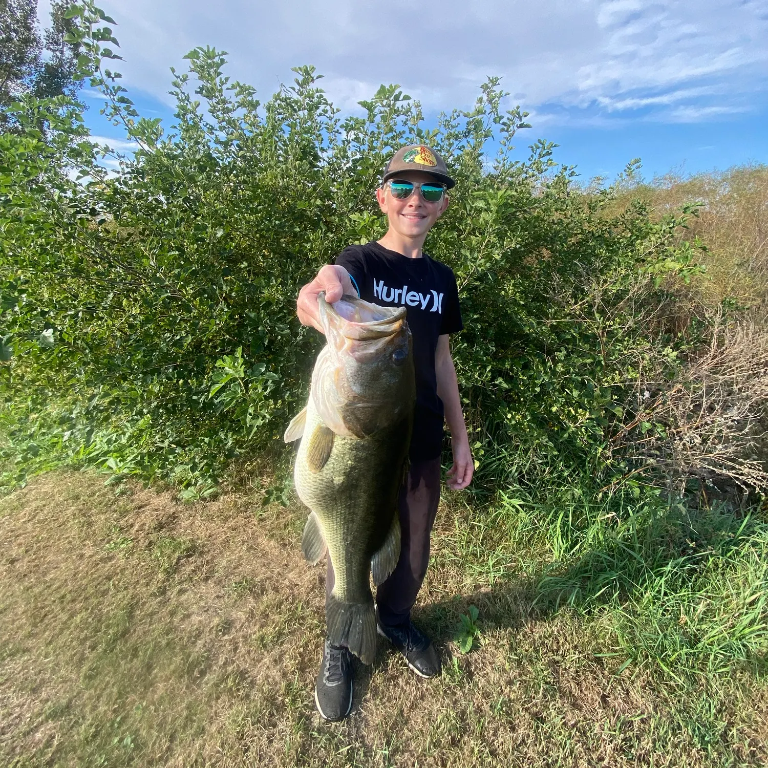 Largemouth bass caught on Fishbrain