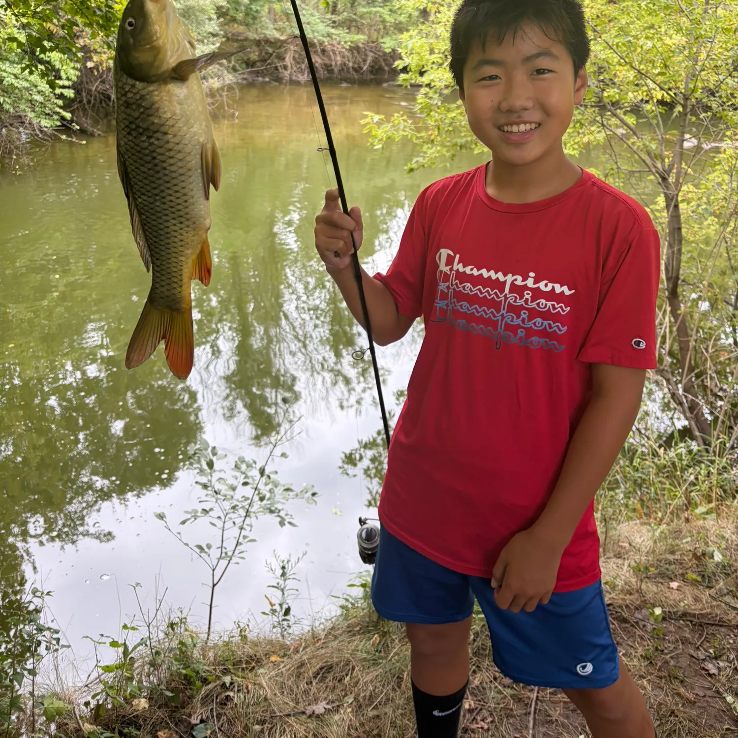Grass carp caught on Fishbrain