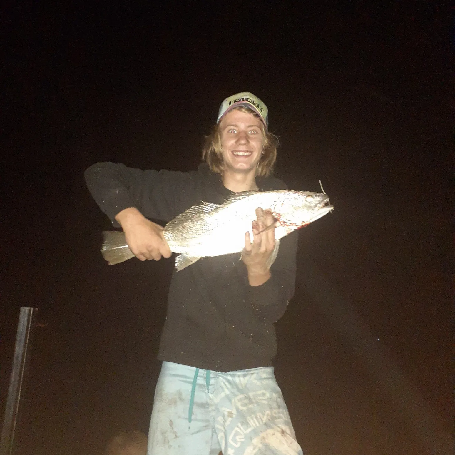 Japanese meagre caught on Fishbrain