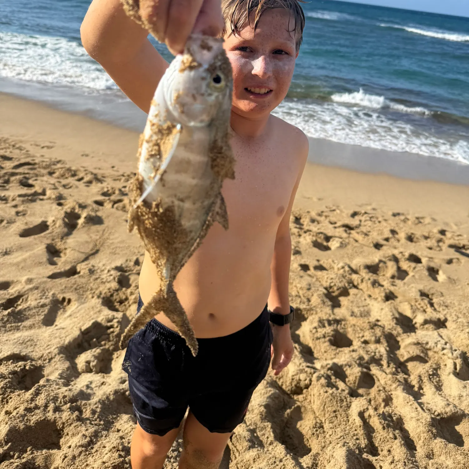 The most recent Blue runner catches on Fishbrain