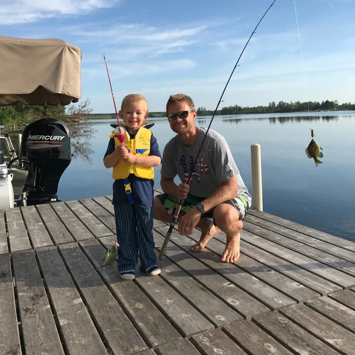 Bluegill caught on Fishbrain