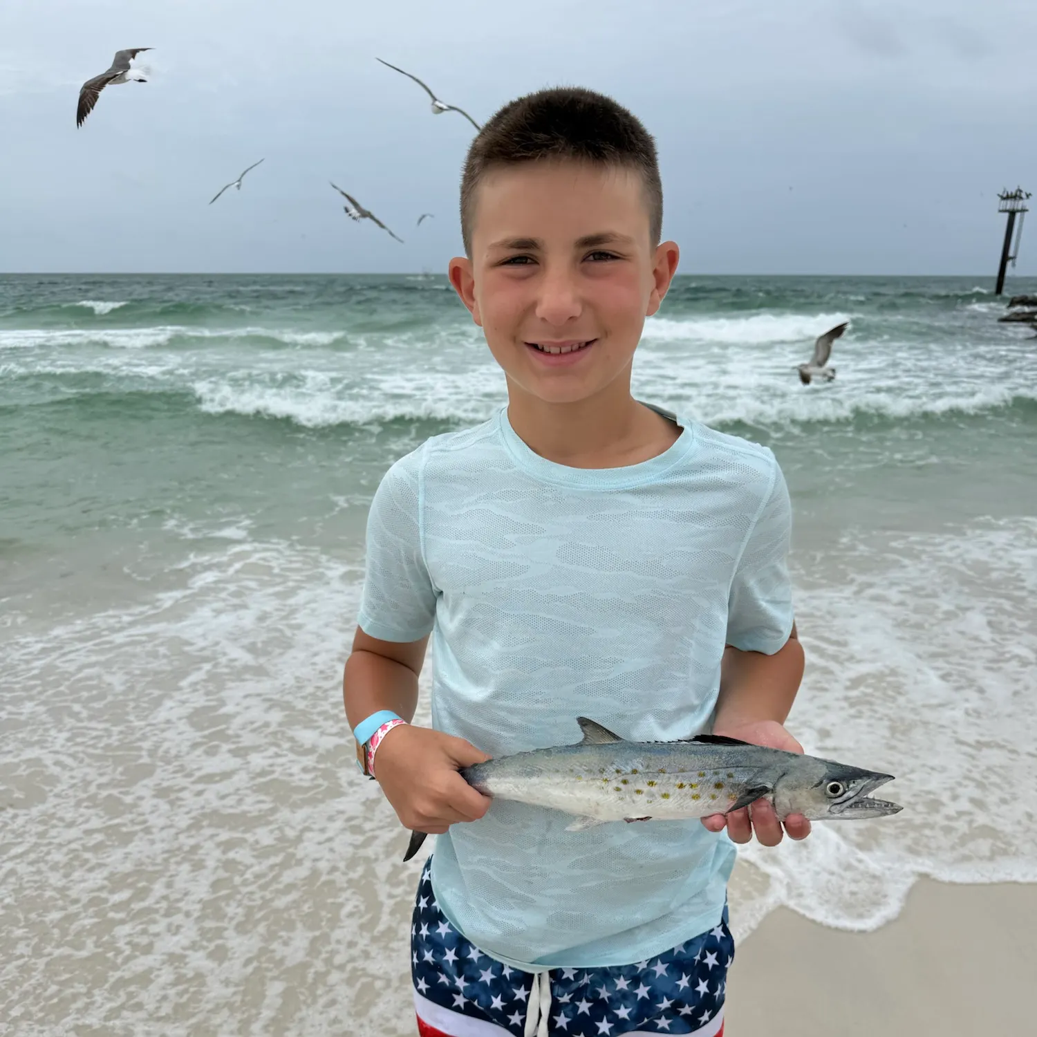 The most recent Spanish mackerel catches on Fishbrain