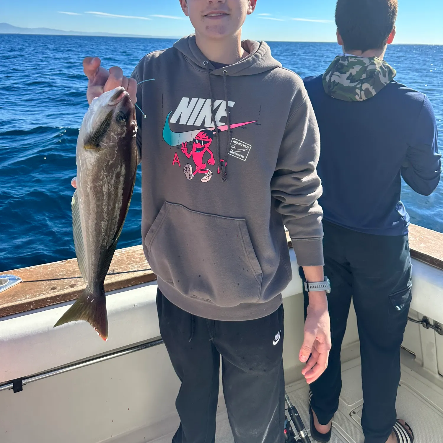 The most recent Ocean whitefish catches on Fishbrain