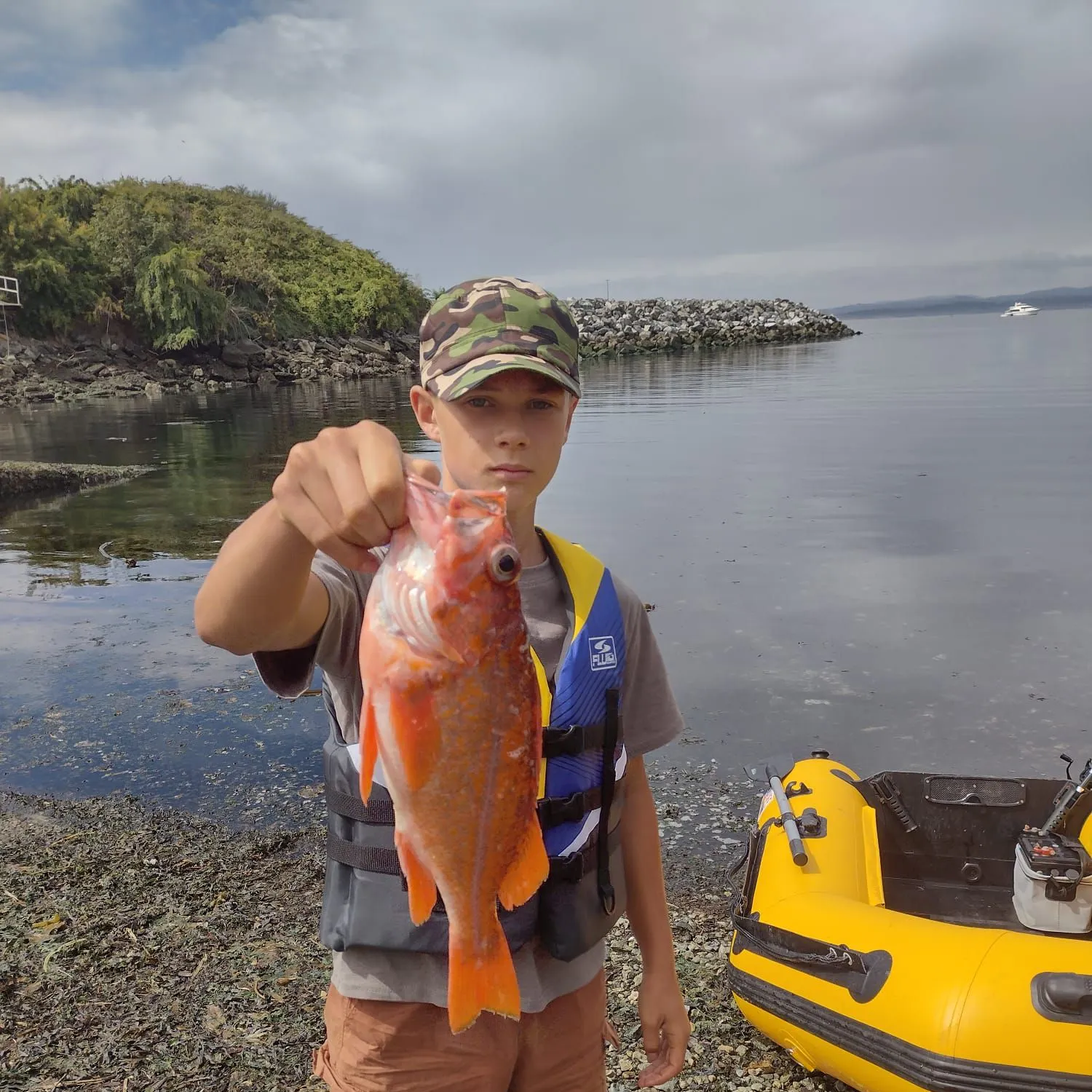 The most recent Canary rockfish catches on Fishbrain