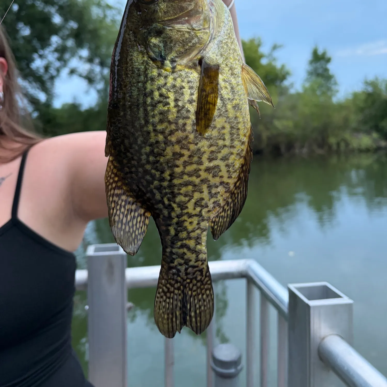 The most recent Black crappie catches on Fishbrain