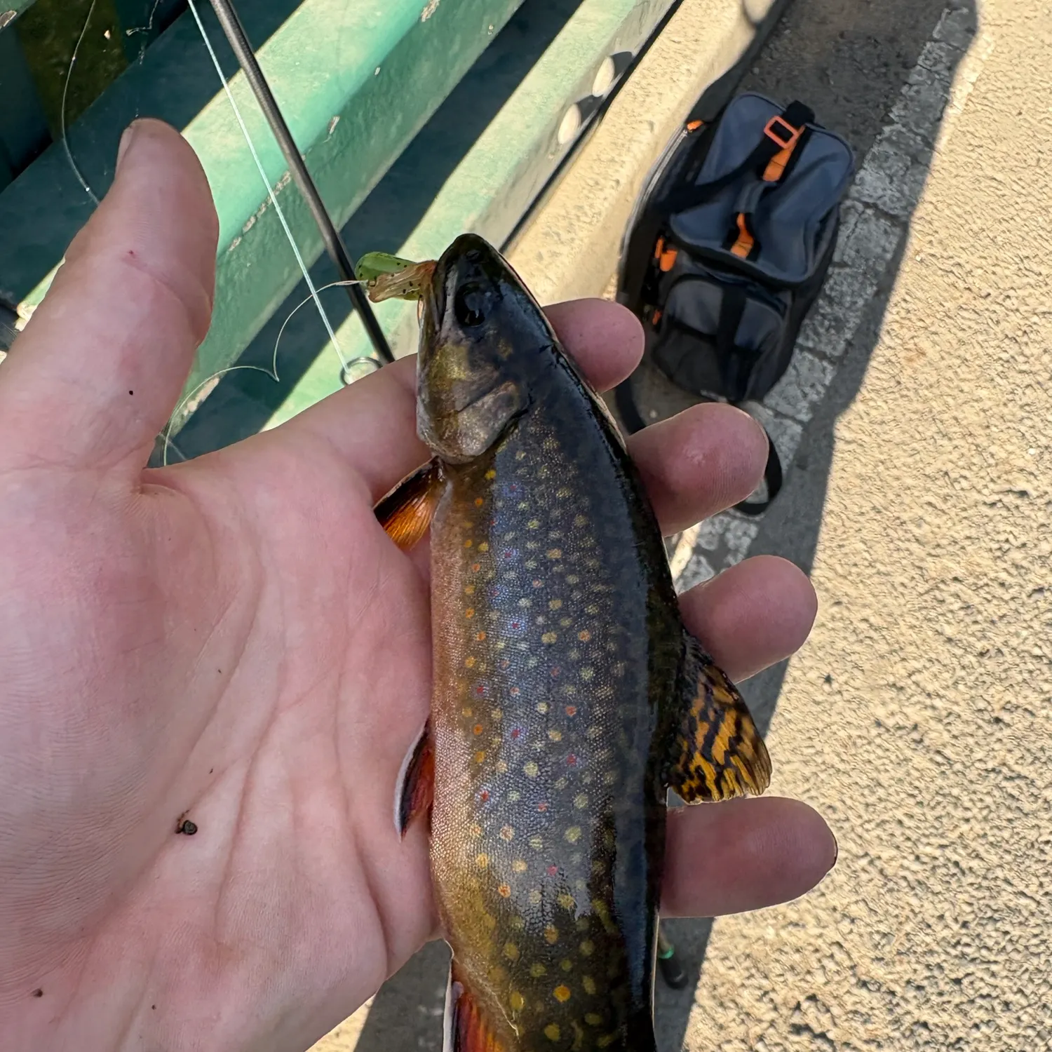 catch