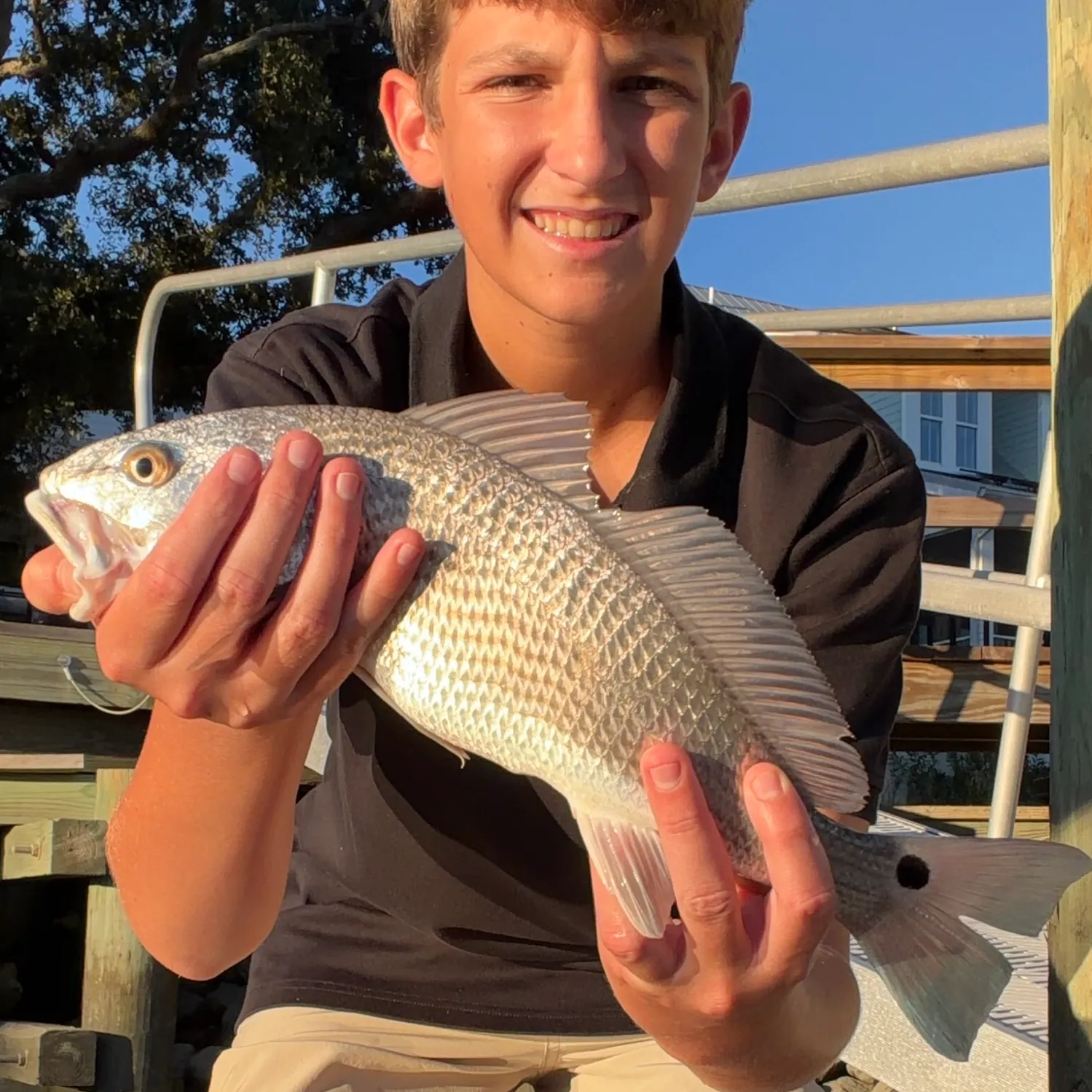 The most recent Red drum catches on Fishbrain