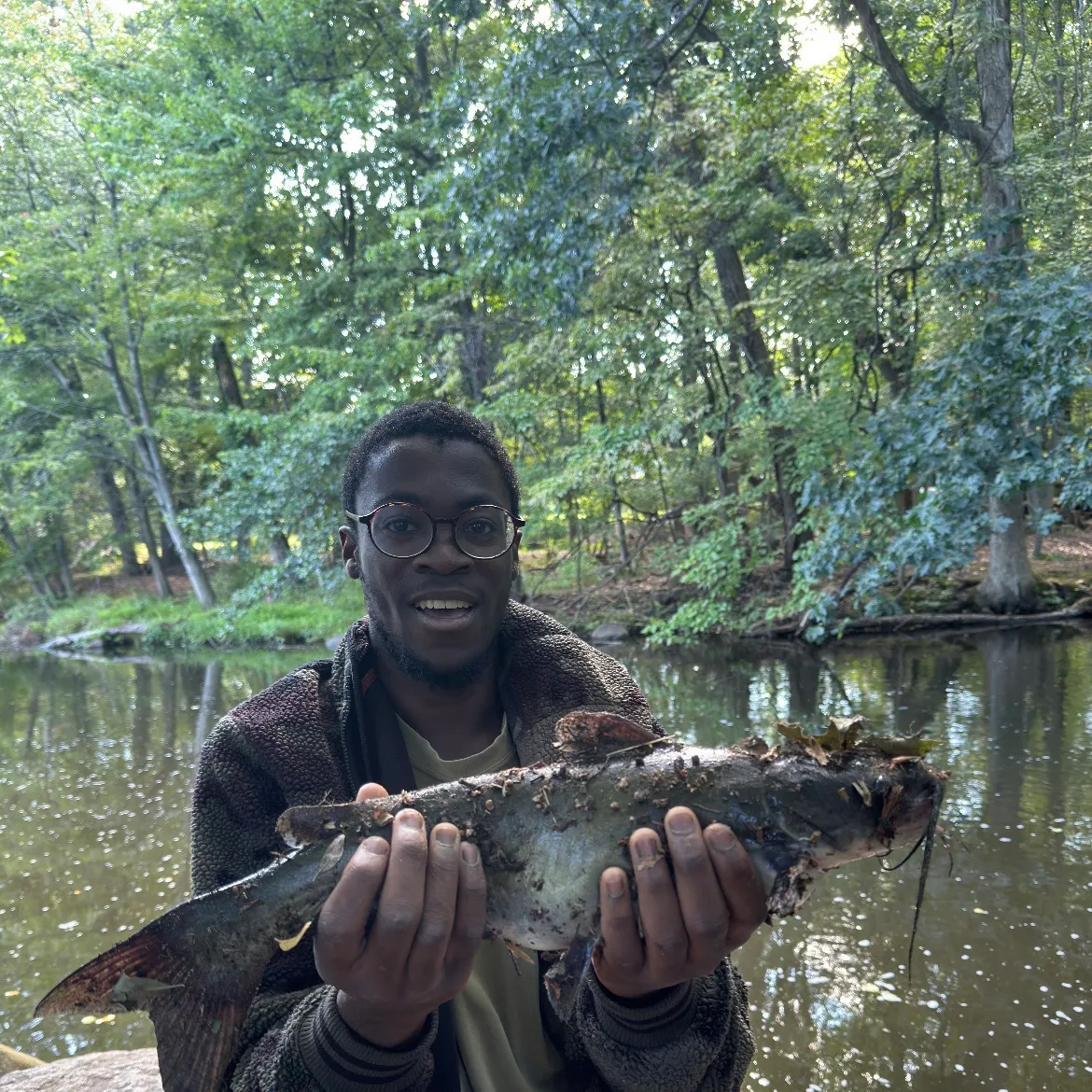 Channel catfish caught on Fishbrain
