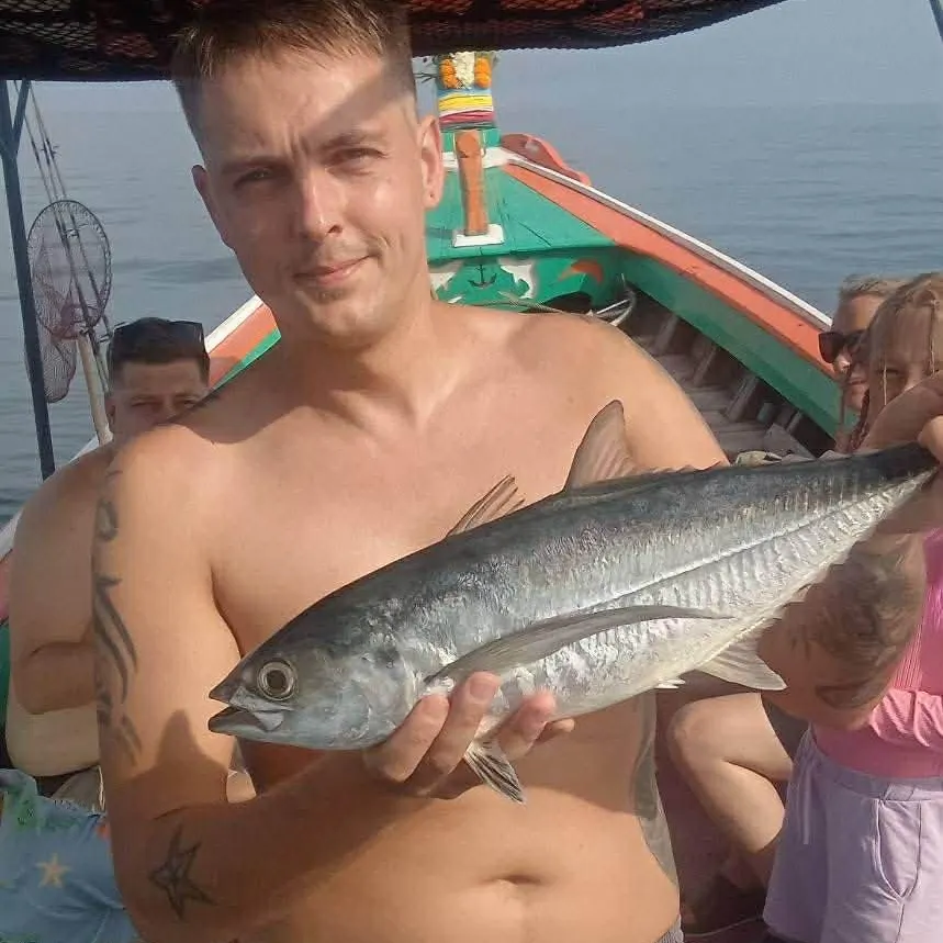 The most recent Bigeye tuna catches on Fishbrain