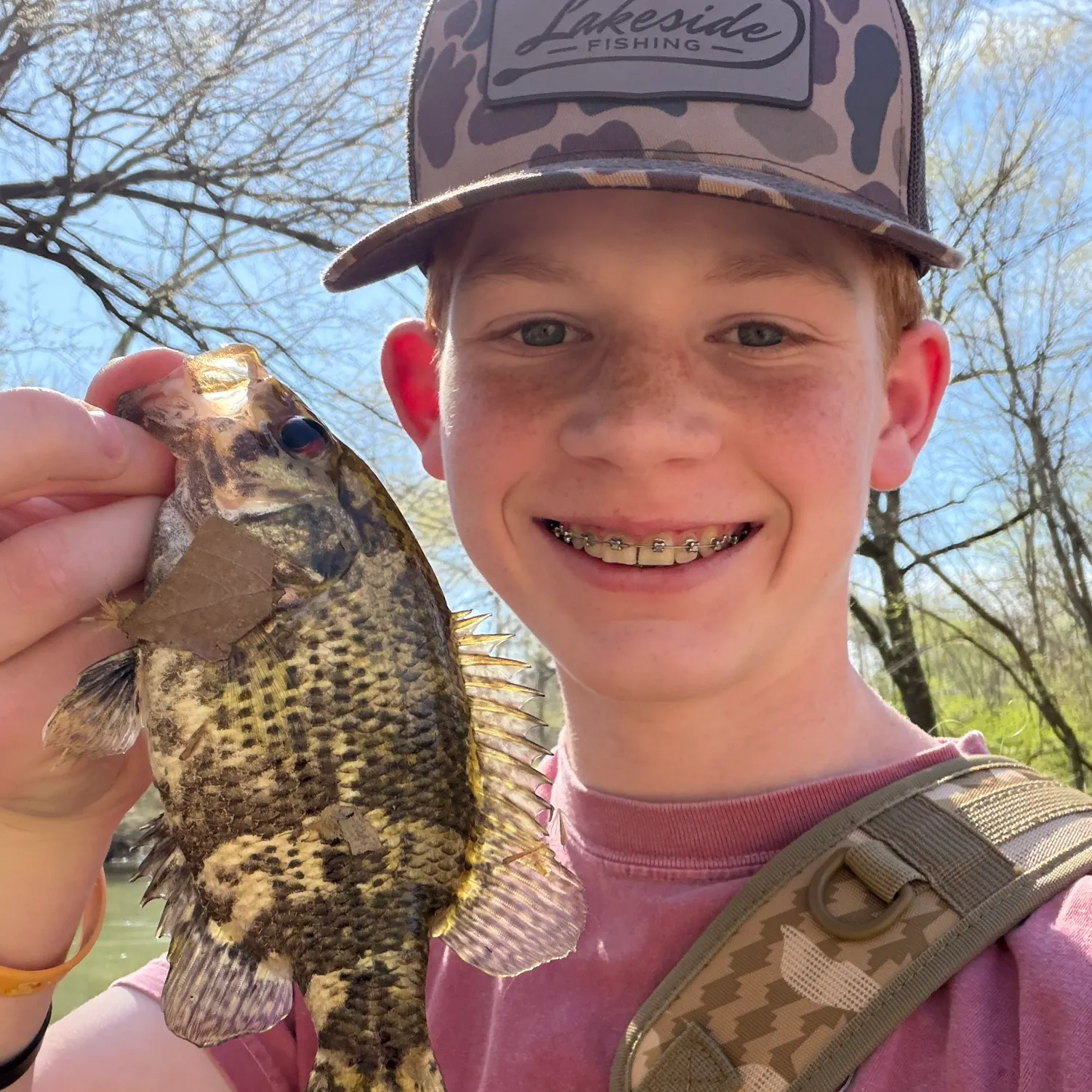 The most recent Shadow bass catches on Fishbrain