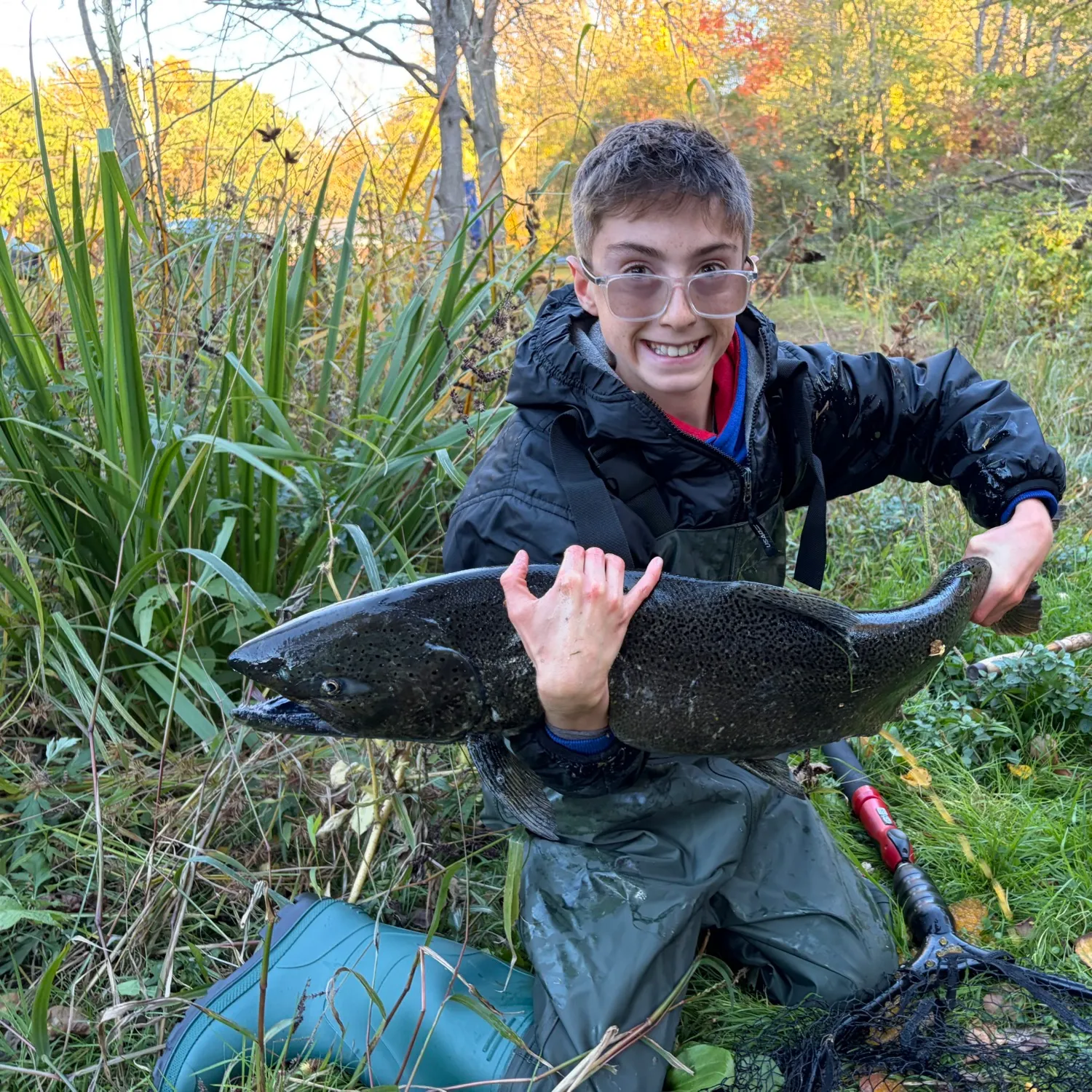 Chinook salmon caught on Fishbrain