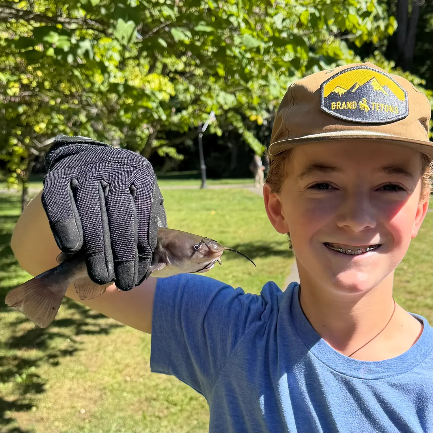 Black bullhead caught on Fishbrain